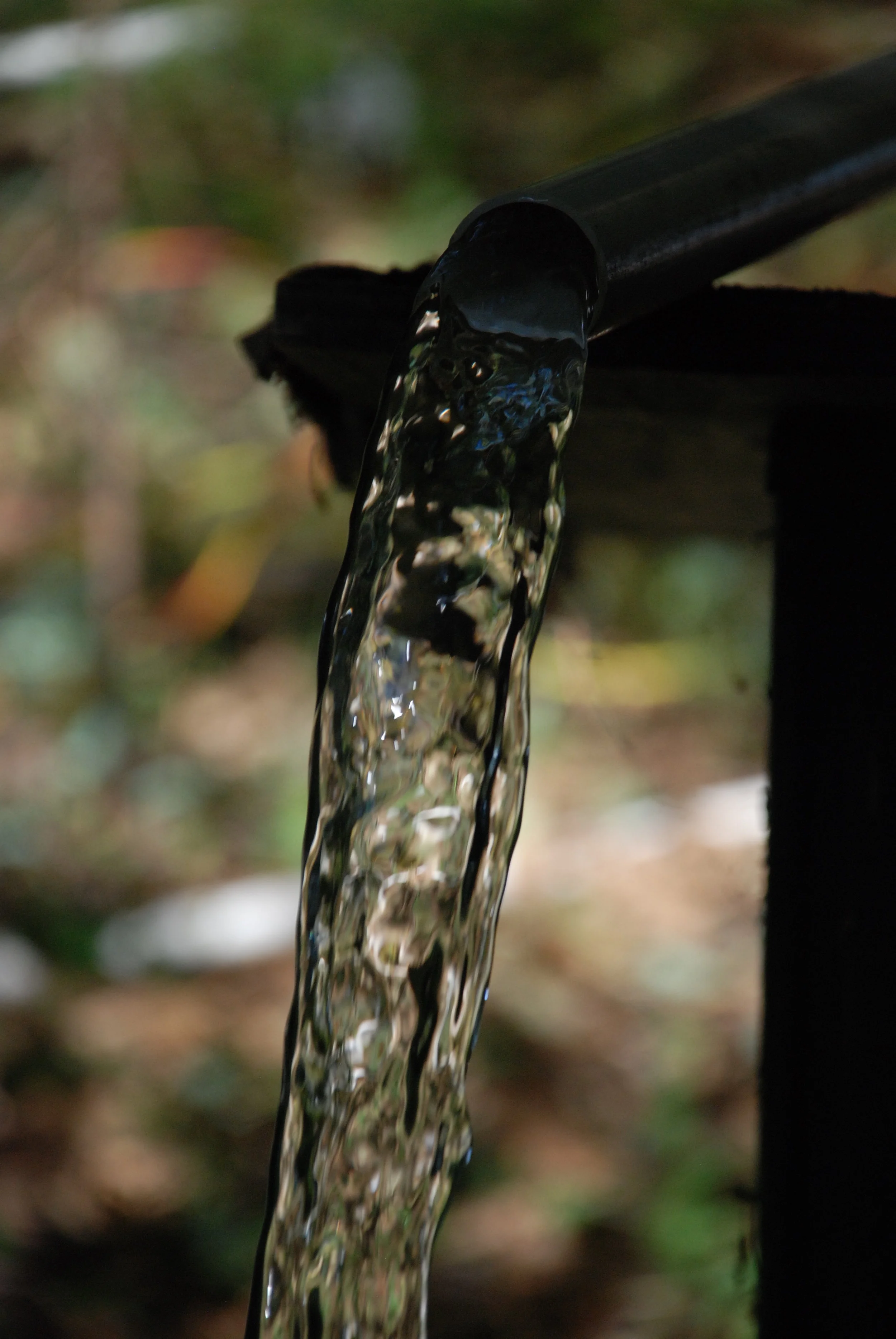 Managing the Domestic Water Supplies