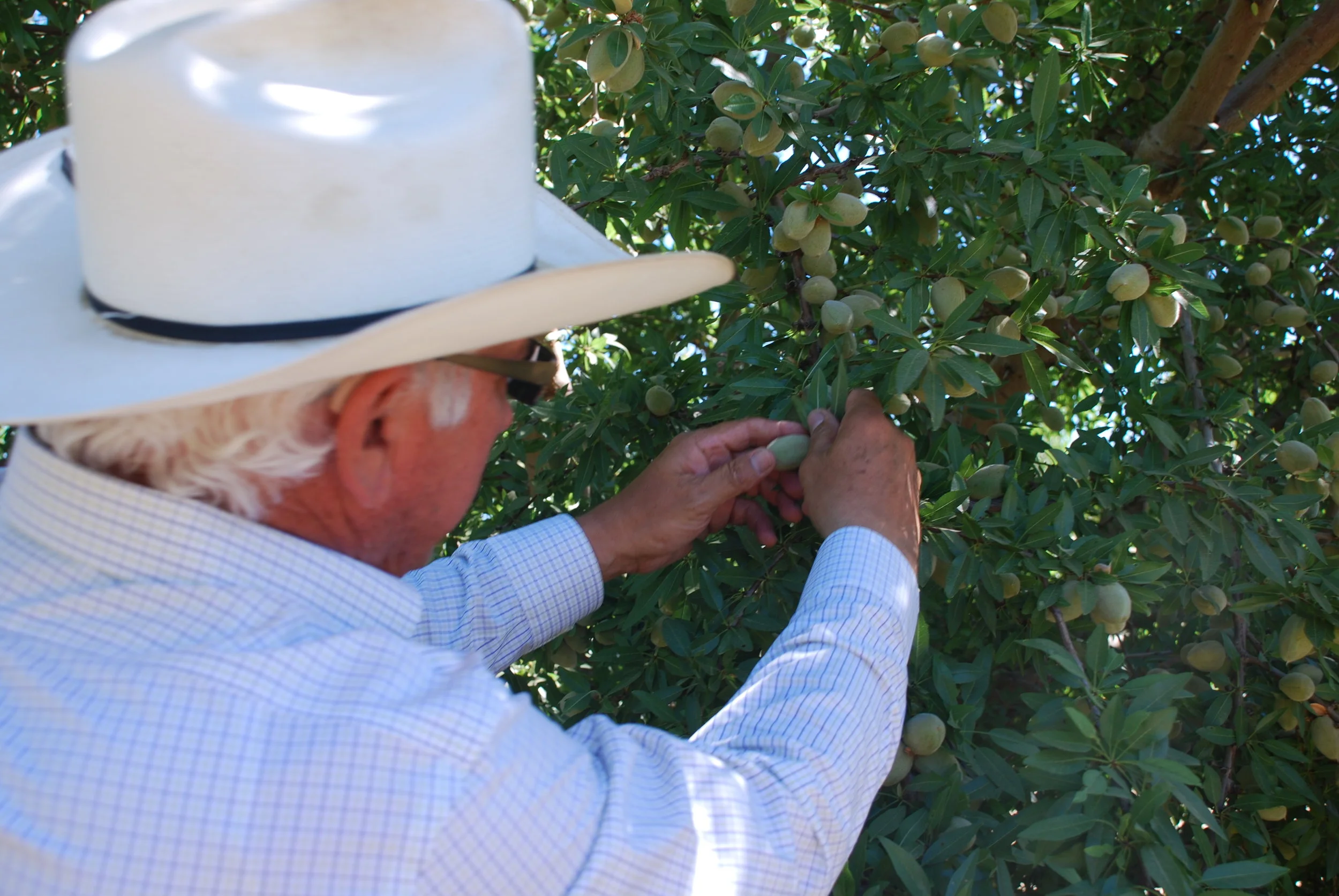 Relationships: A Central Valley Farmer and a CA Delta Advocacy Group