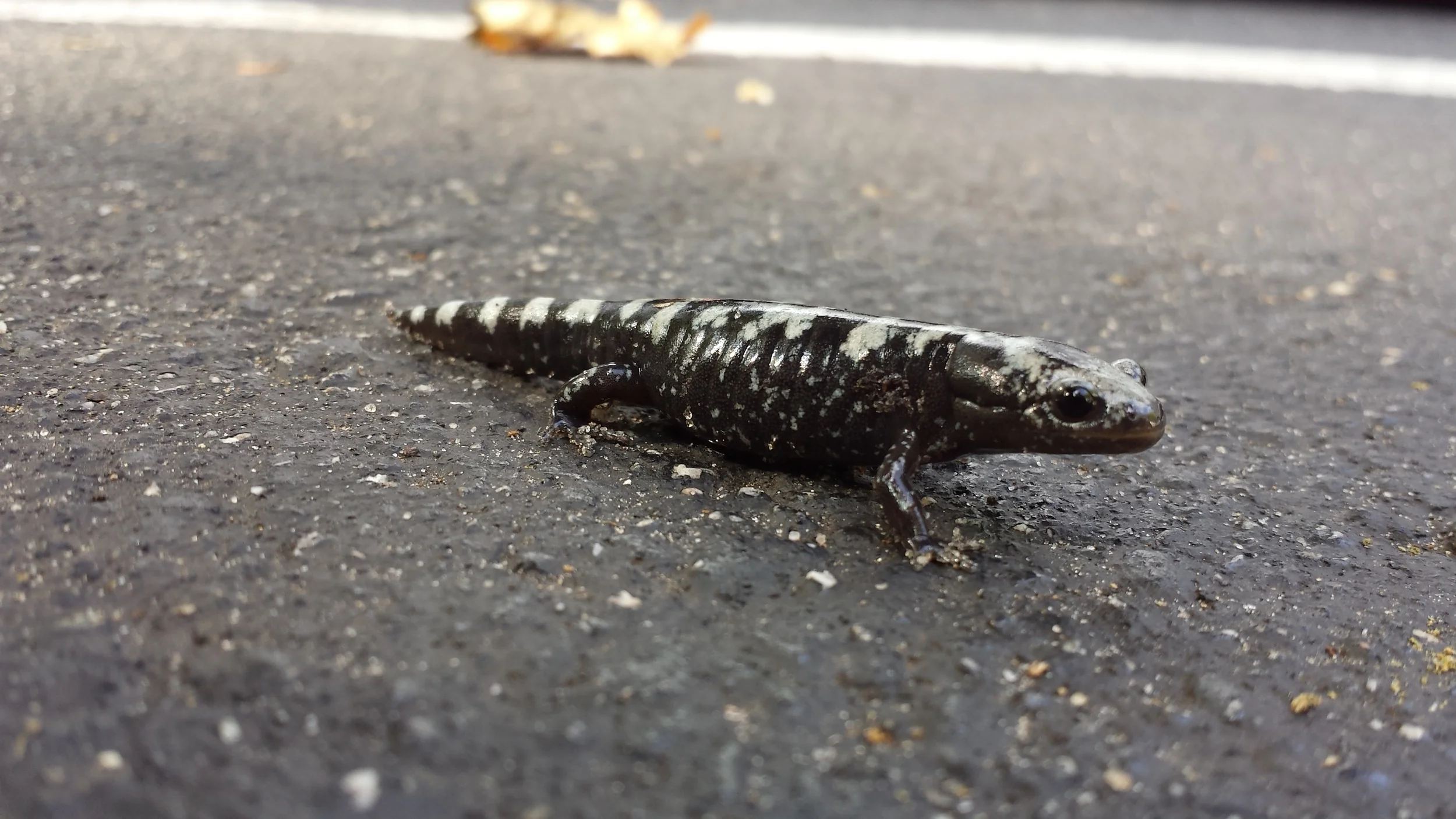 20150822_094256.jpg