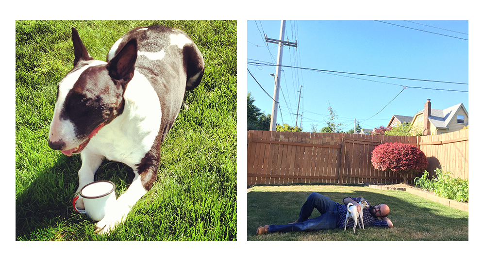 Left: Scout enjoys a cool drink on Drew and Jacob's lawn. Right: Jacob and Maude relax in the sunshine last summer. 