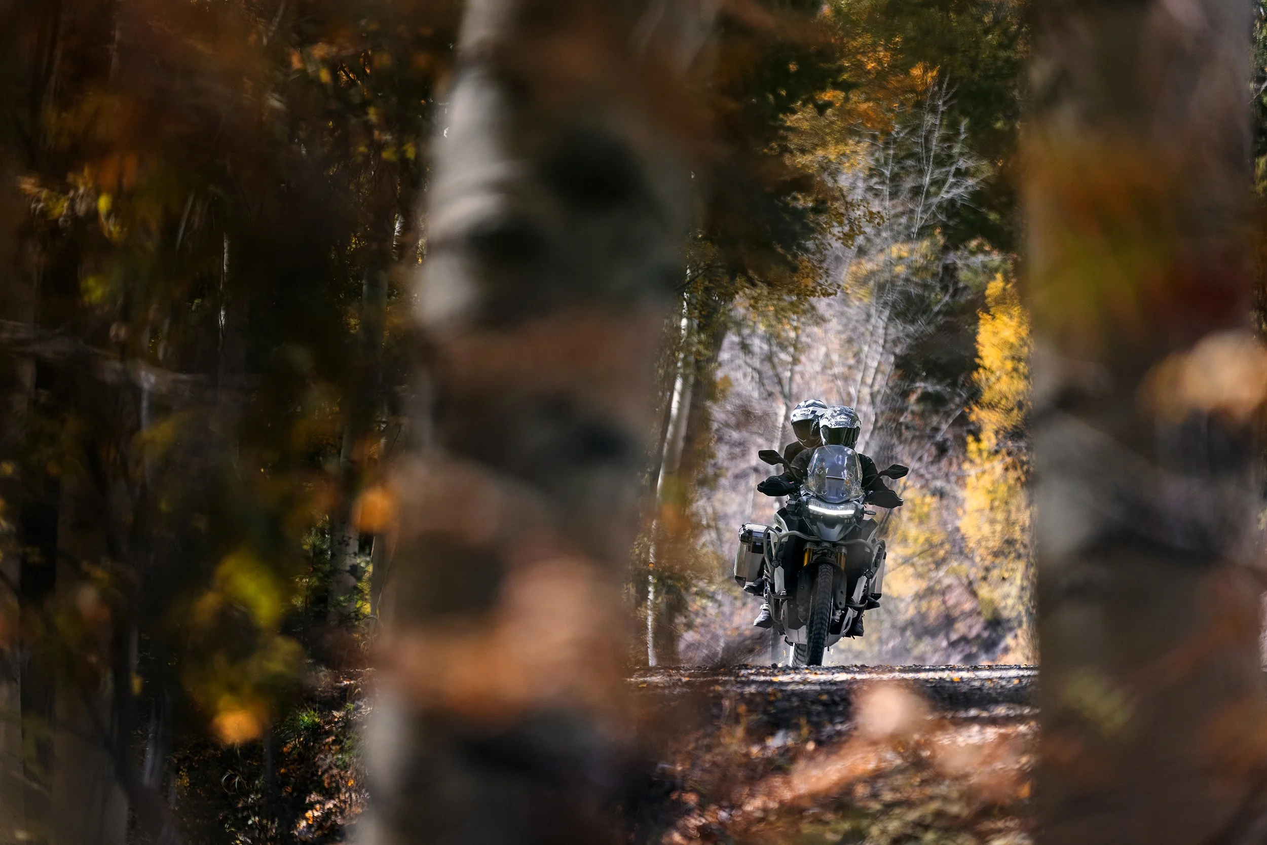 Tiger 1200_Rally Explorer_MY22_27A5105_ML.jpg