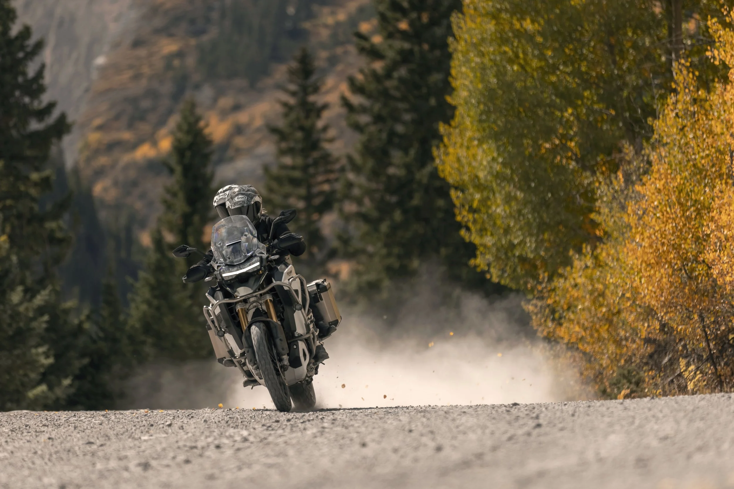 Tiger 1200_Rally Explorer_MY22_27A5155_MLv2.jpg