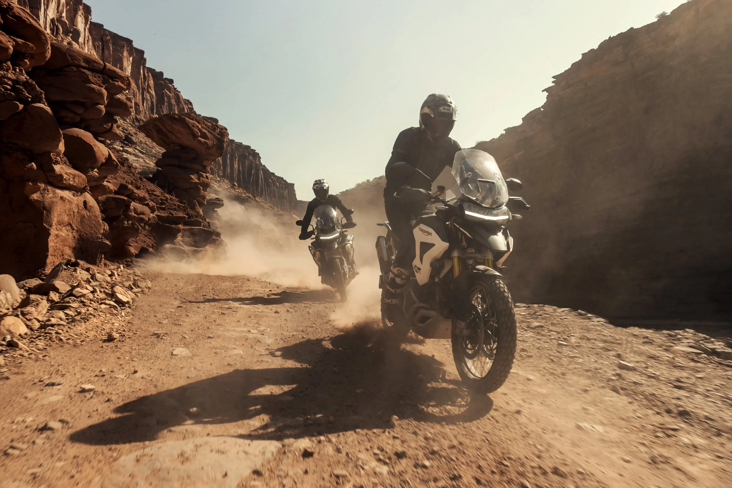 Tiger 1200_Rally Pro_MY22_N4I0701_ML.jpg