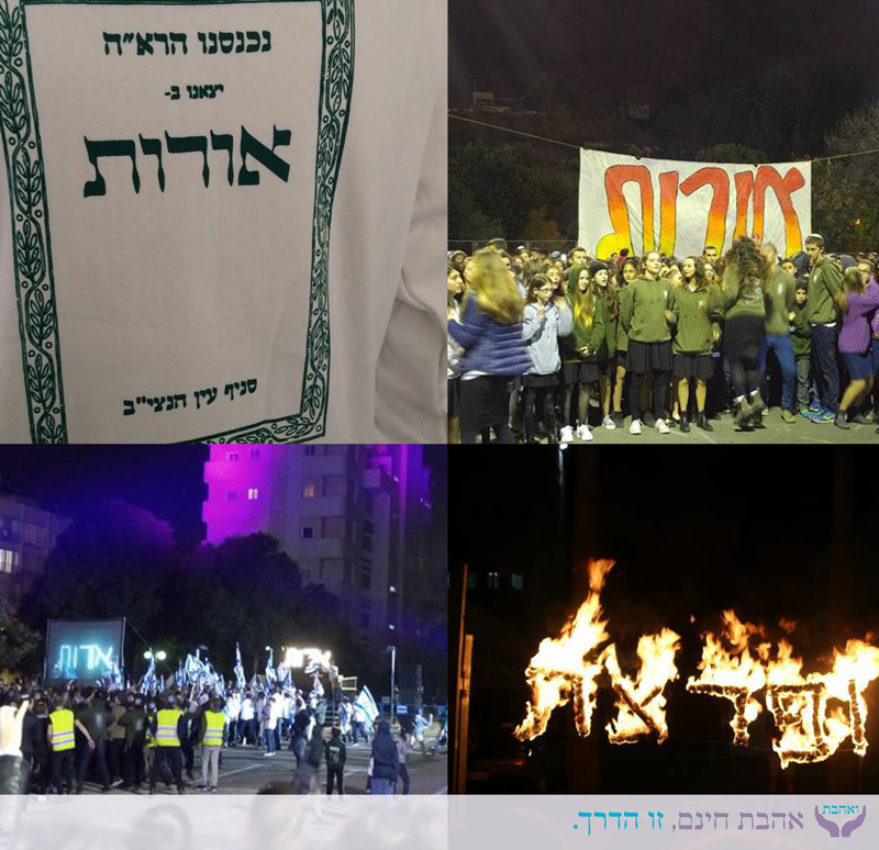 אורות1-3.png