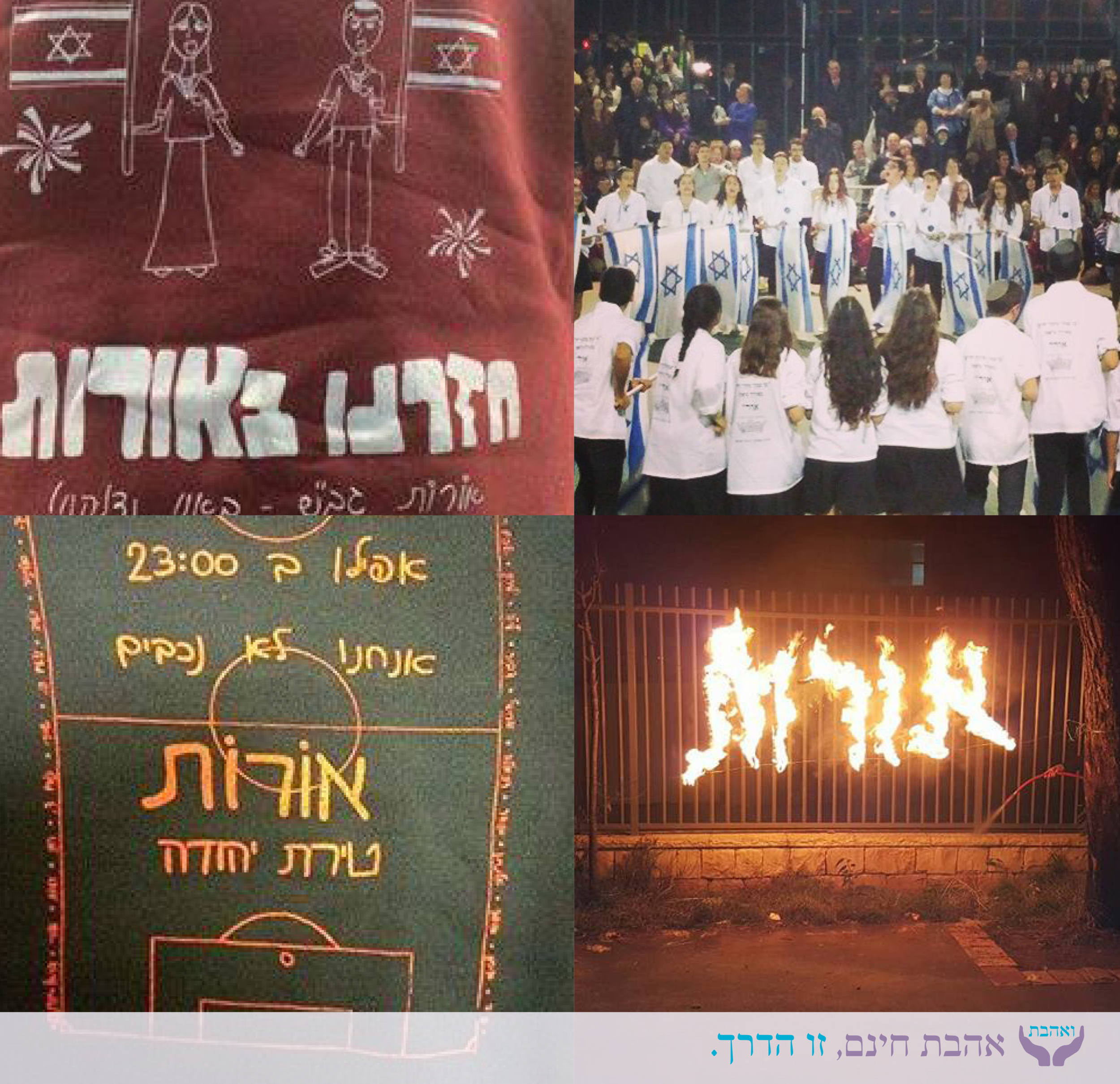 אורות1-9.png