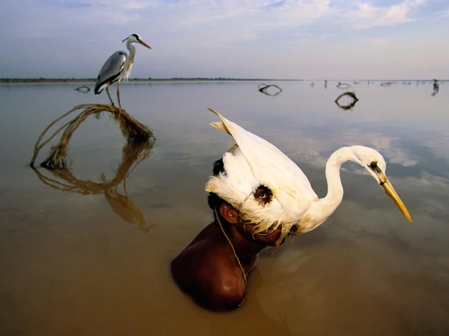 PHOTOGRAPH BY RANDY OLSON, NATIONAL GEOGRAPHIC