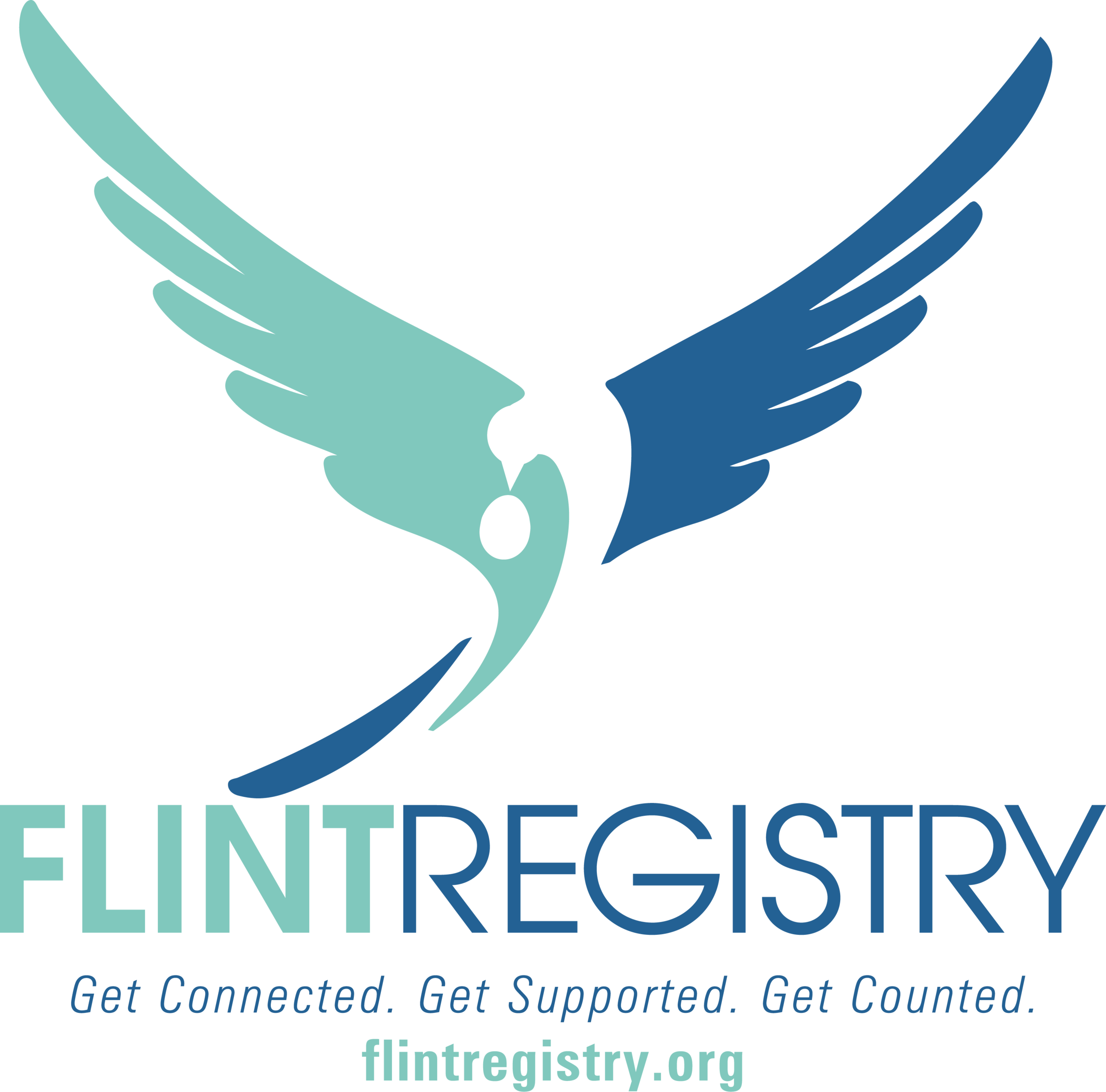 Flint Registry (Copy)