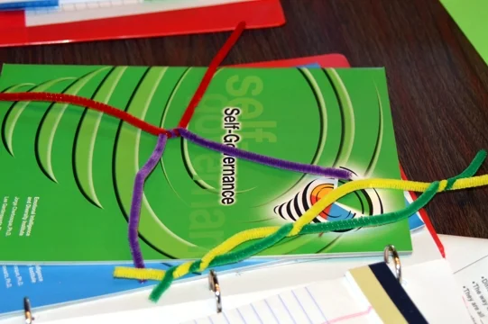 pipe cleaners on workbook.jpg