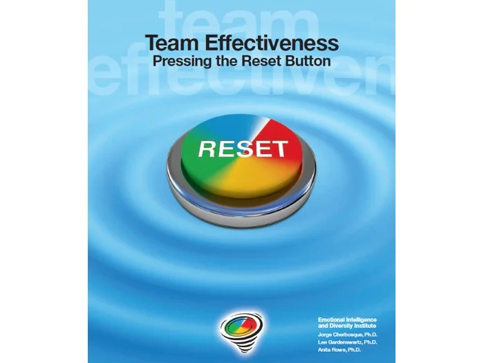 Team Effectiveness workbook.JPG
