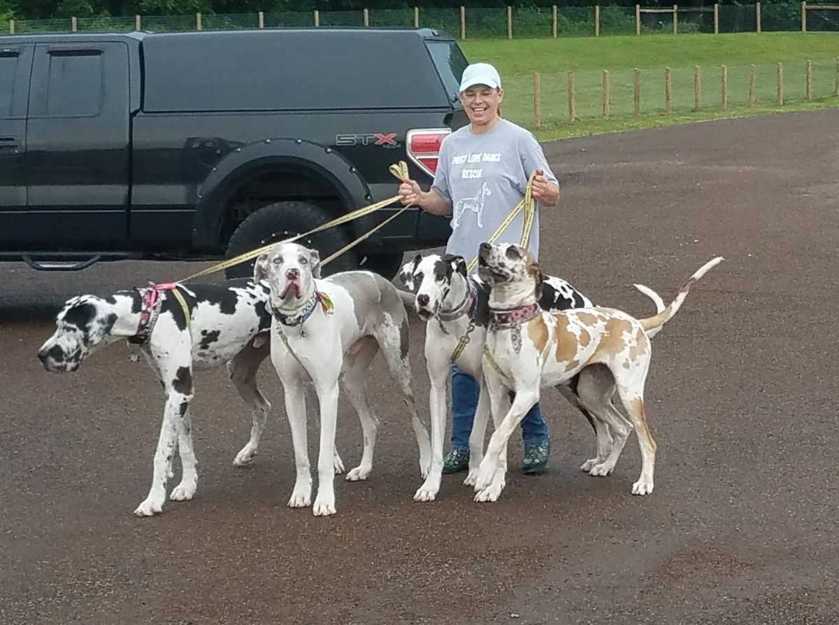 Jill with a few of her babies!