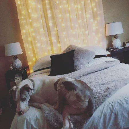 Simba new home.jpg