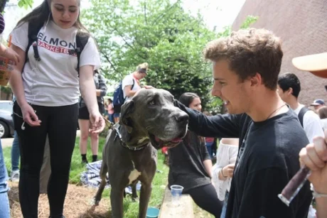 Bruce was adopted from the rescue about 4 years ago and he has made us very proud. Christy Wyrick, his owner, and Bruce are a therapy team and they visit schools, nursing homes and hospitals. He really makes a difference in so many lives. Bruce was very popular at the Belmont University Pups and Popsicle event that allows students stress relief during finals. Go here to see pictures of Bruce and all the other dogs who participaed in this wonderful event. https://belmontphoto.smugmug.com/CampusLifeStudents/2017-2018/Puppies-and-Popsicles/