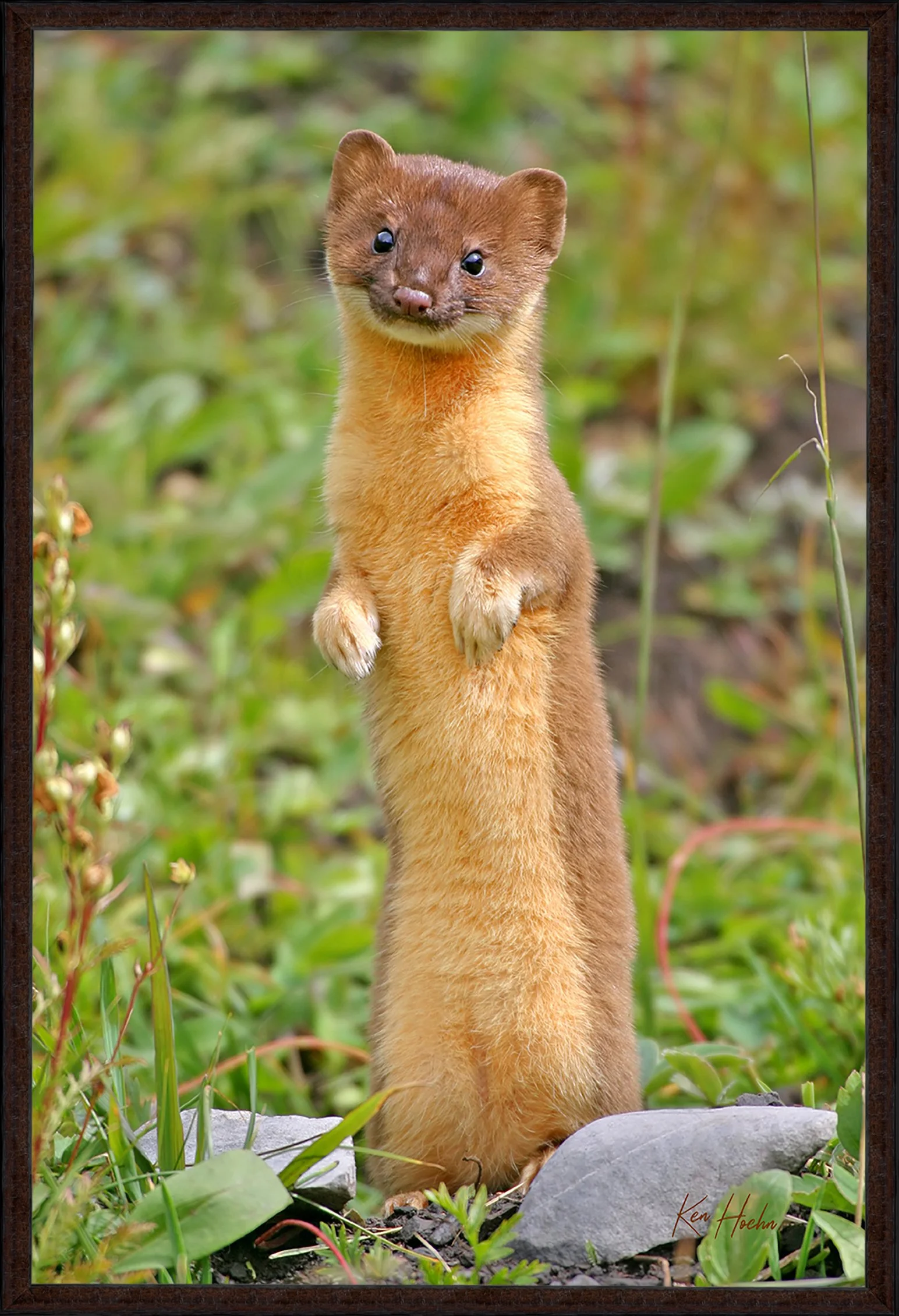 Cute Little Serial Killer FR 87.jpg