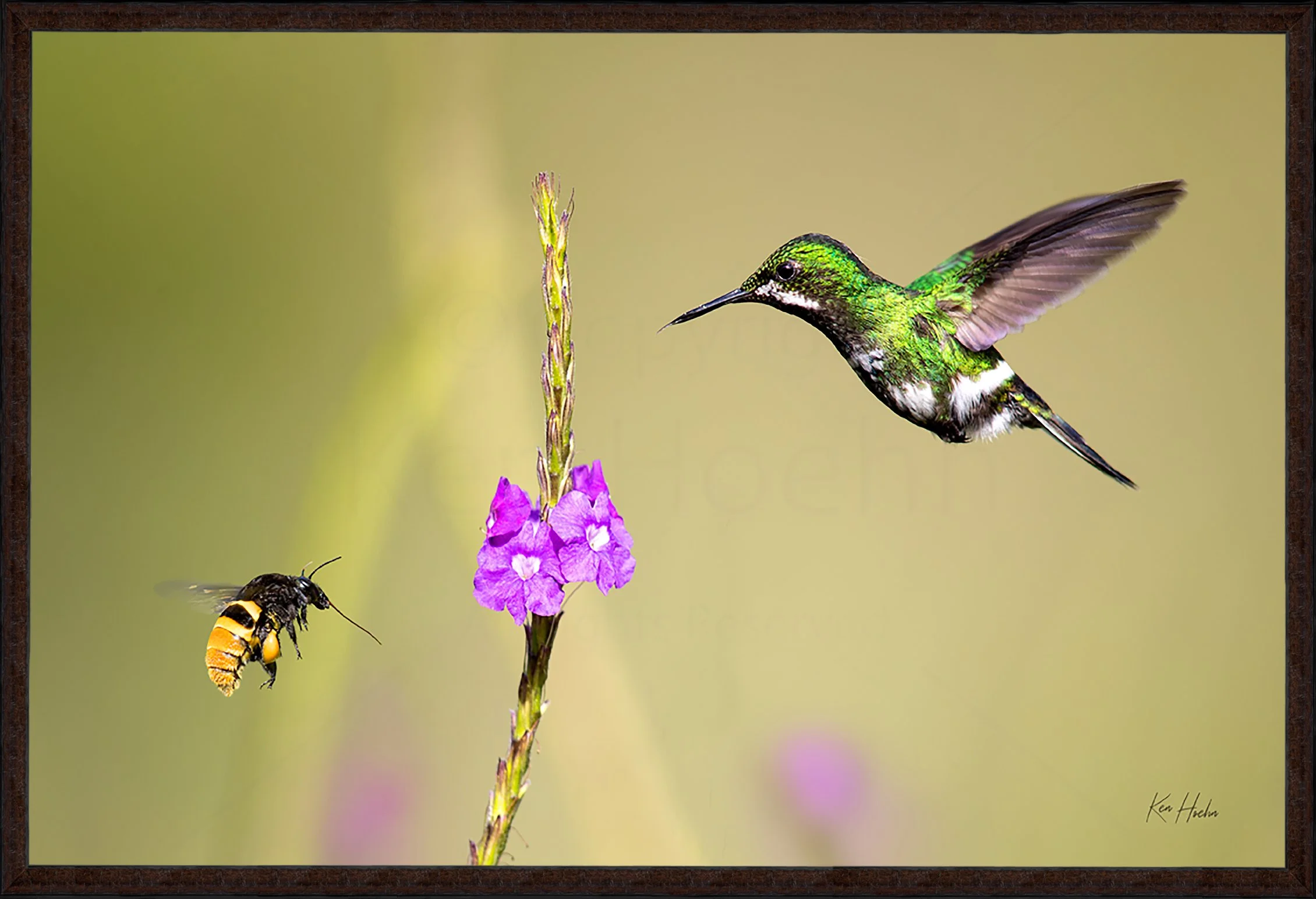 Four Part Harmony Framed 87.jpg
