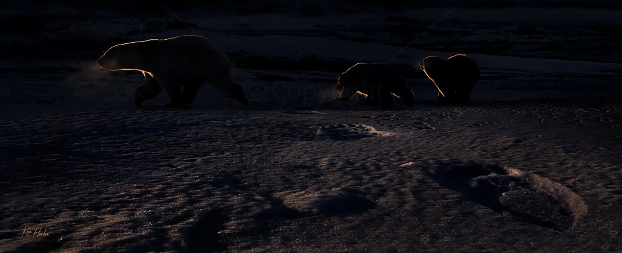 Polar Passing Unframed.jpg