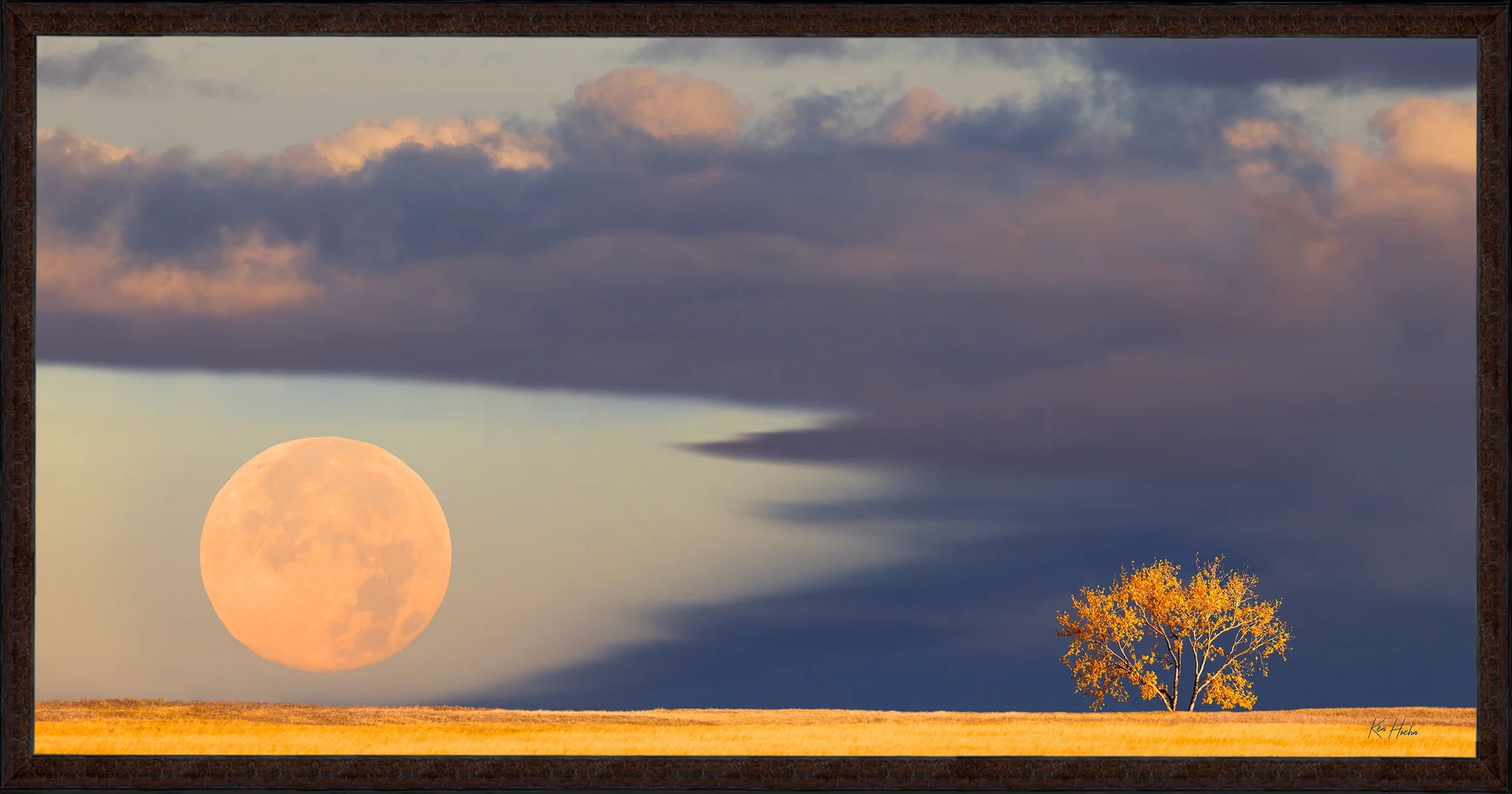 harvest moon 2 to 1 fr87 watermarked.webp