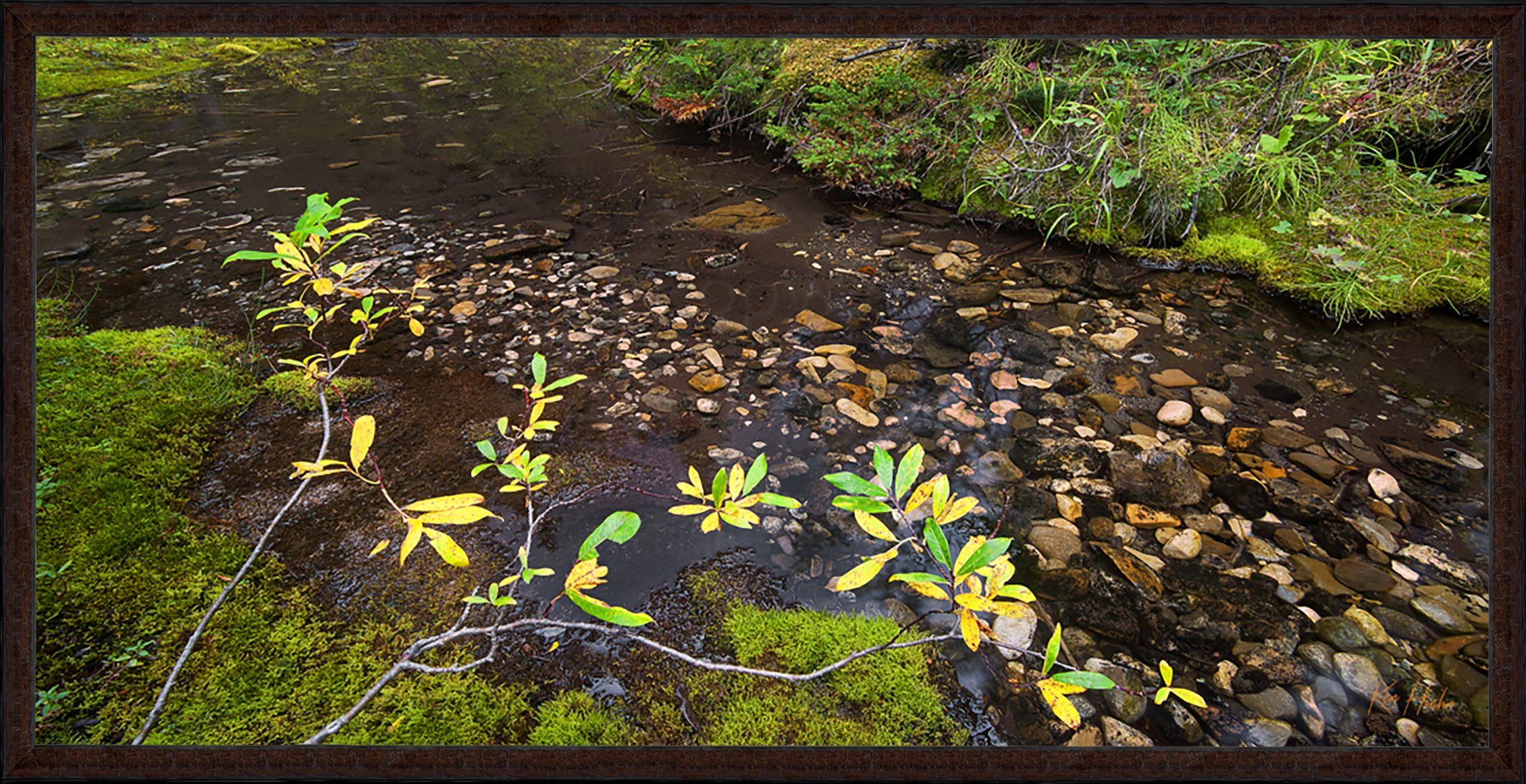 September Softly Singing Framed 87.jpg