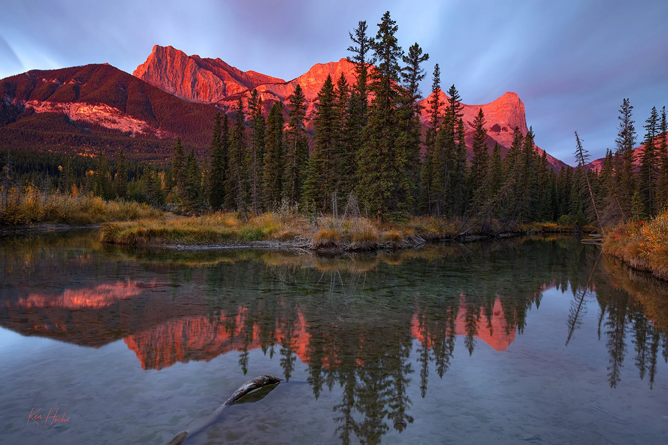 Lawrence in the Light.jpg