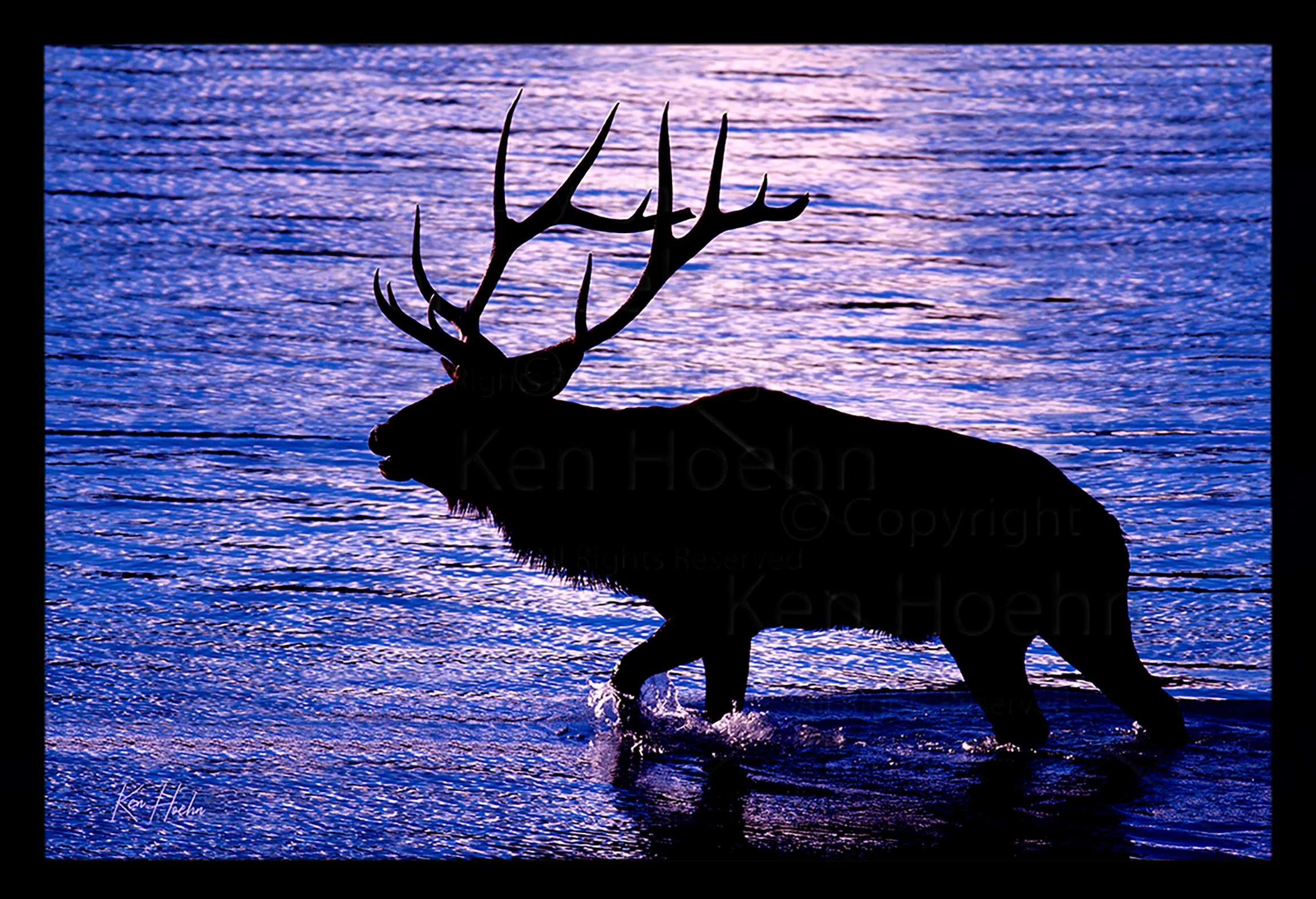 Moonlight on the Miette Framed 01.jpg