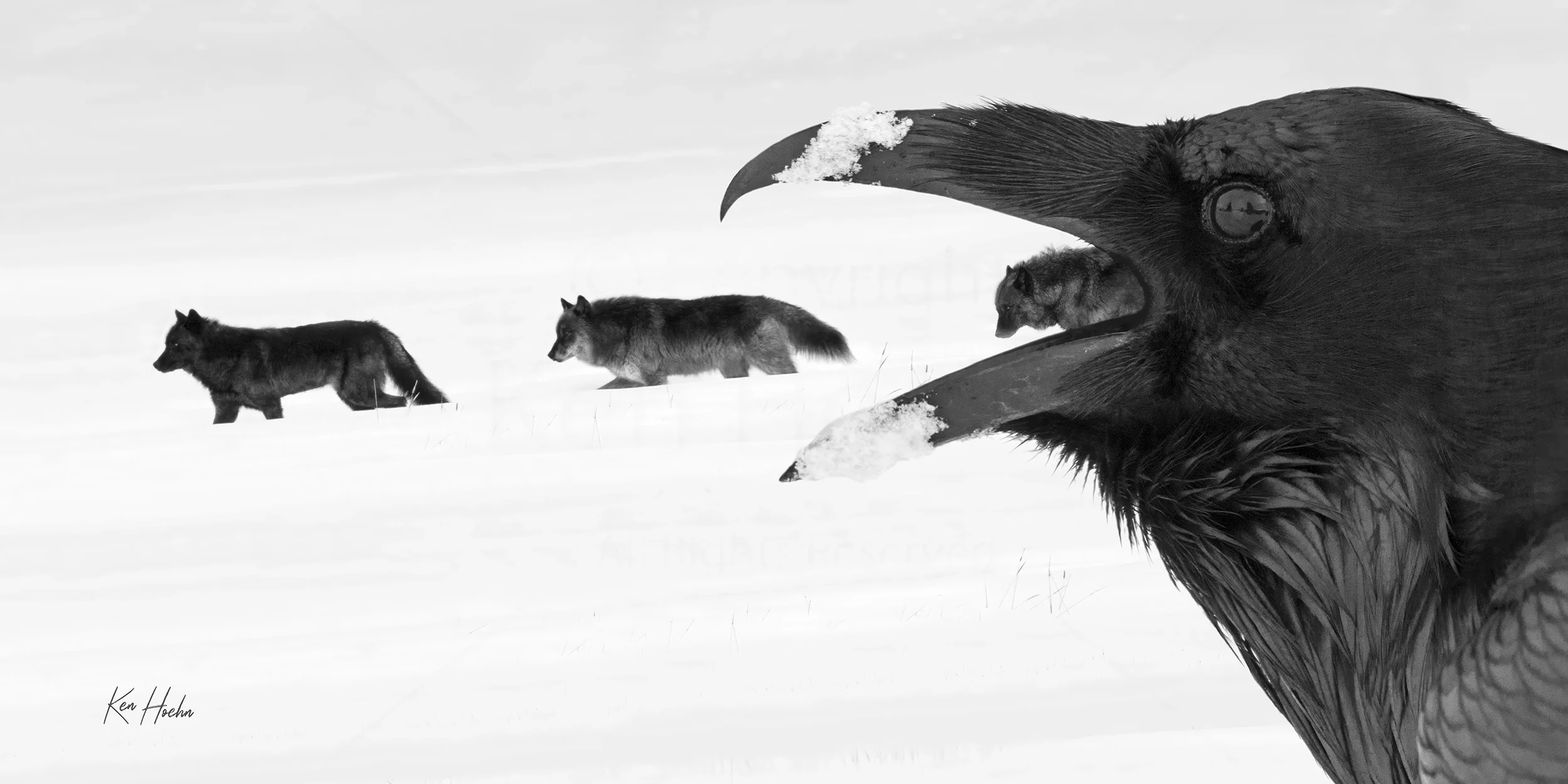 speak truth to power watermarked.webp