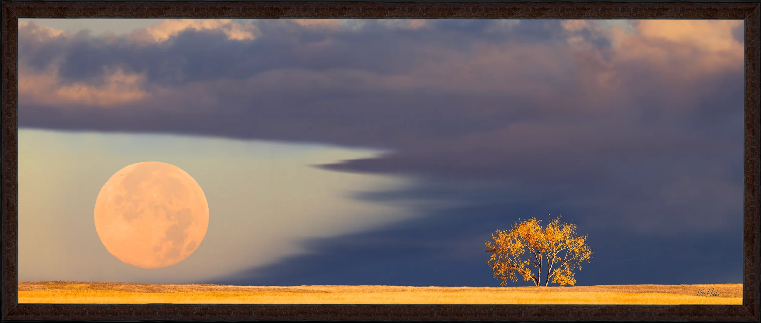 harvest moon 2 and a half to 1 fr87 watermarked.webp