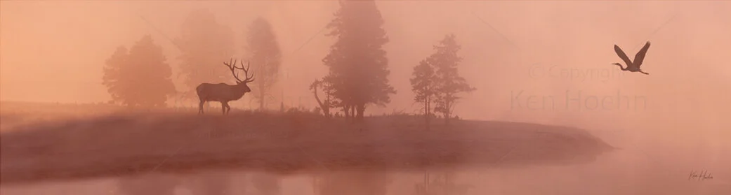 Foggy with a Chance of Anything signed v1.jpg