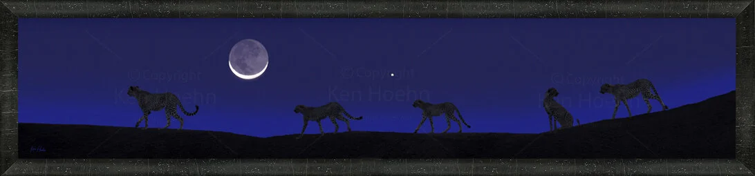 Framed Five Cheetah Moon signed v1.jpg
