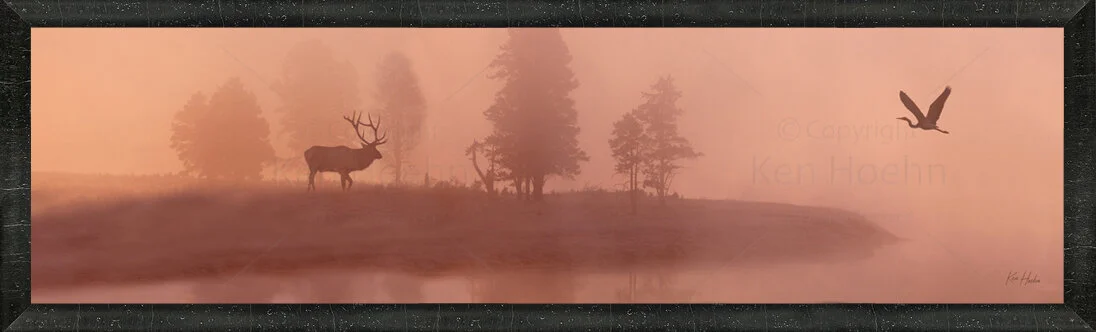 Framed Foggy with a Chance of Anything signed v1.jpg