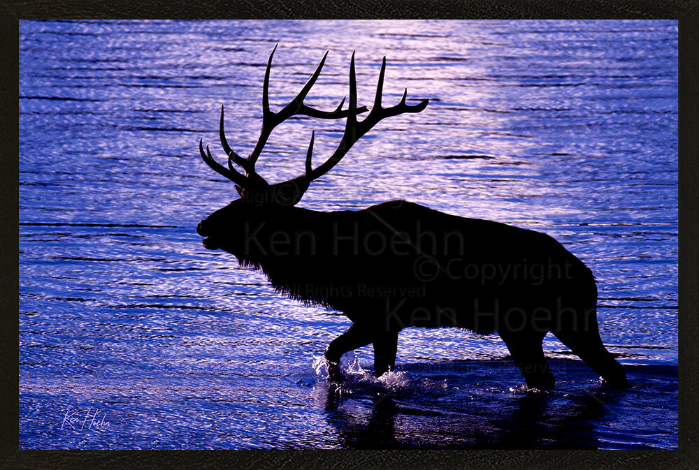 Moonlight on the Miette — The Ken Hoehn Gallery Moonlight on the Miette — The Ken Hoehn Gallery