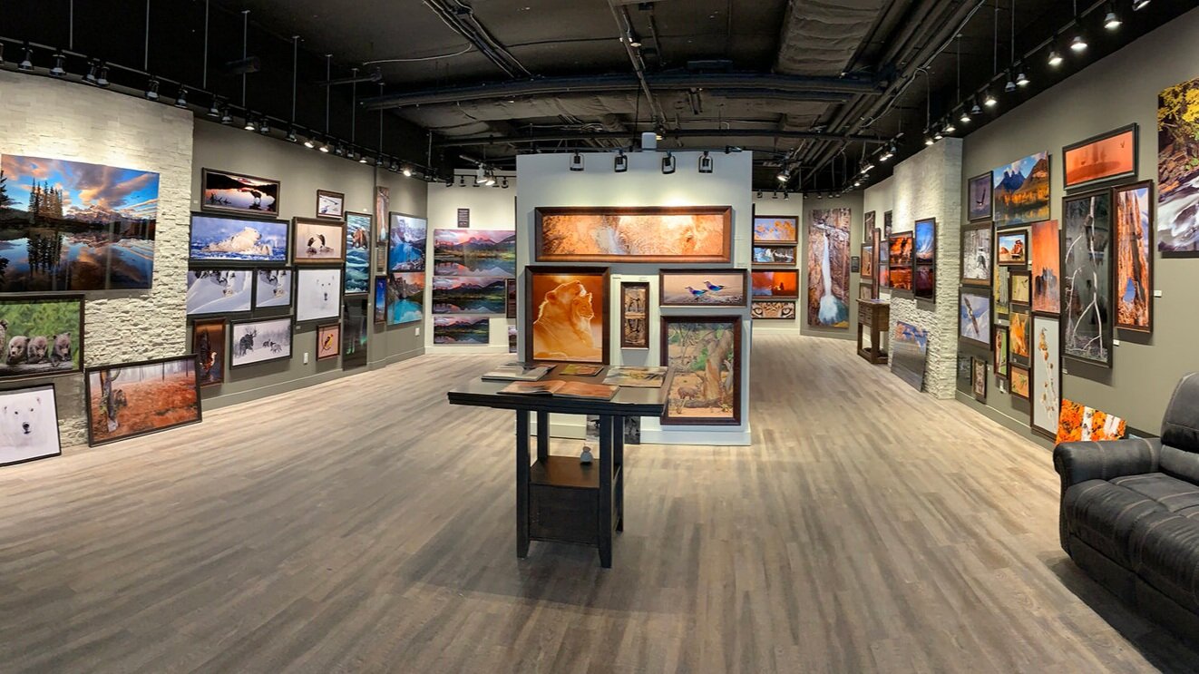 Gallery+Pano+Youtube.jpg