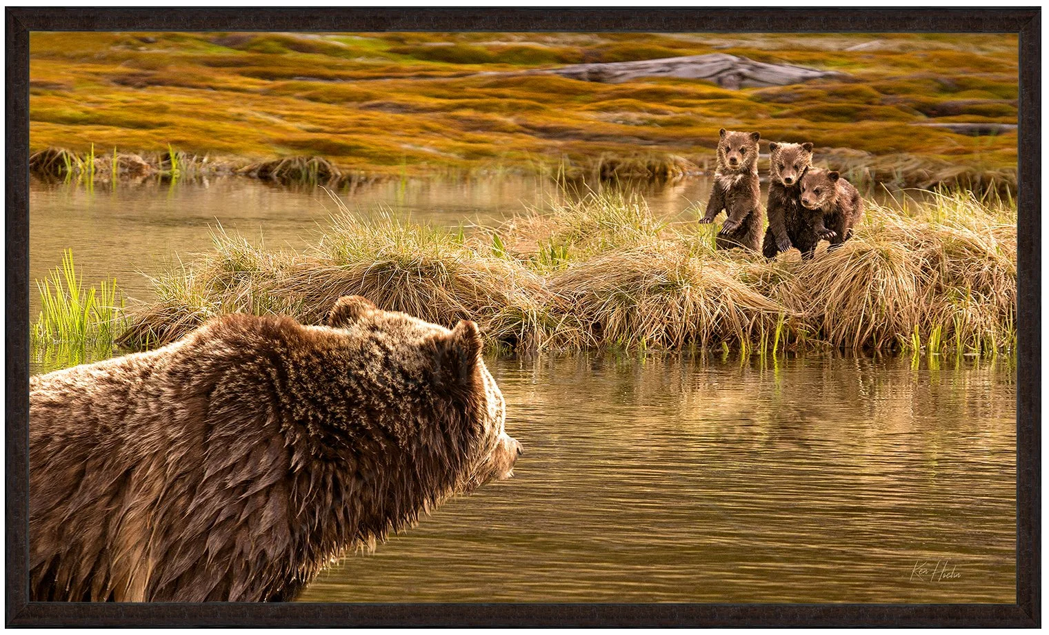 First Swim Lesson signed v24 framed.jpg