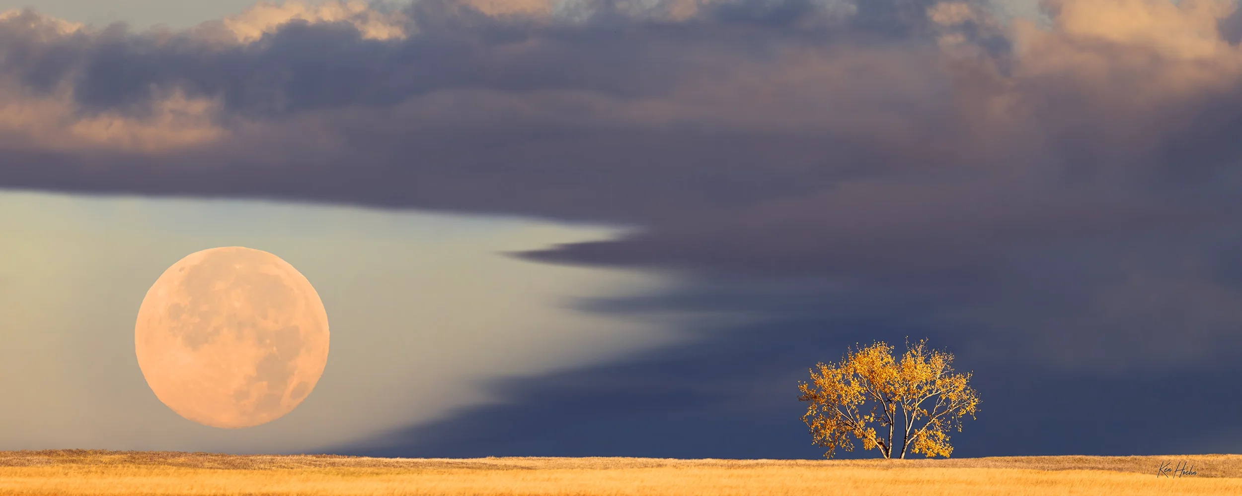 harvest moon 2 and a half to 1 watermarked.webp