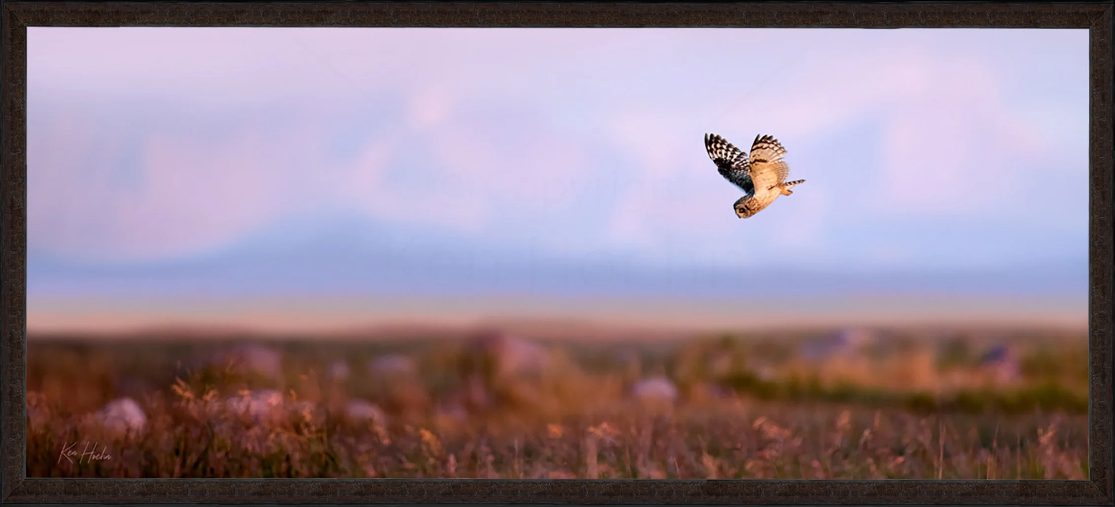 Incoming Framed 87.jpg