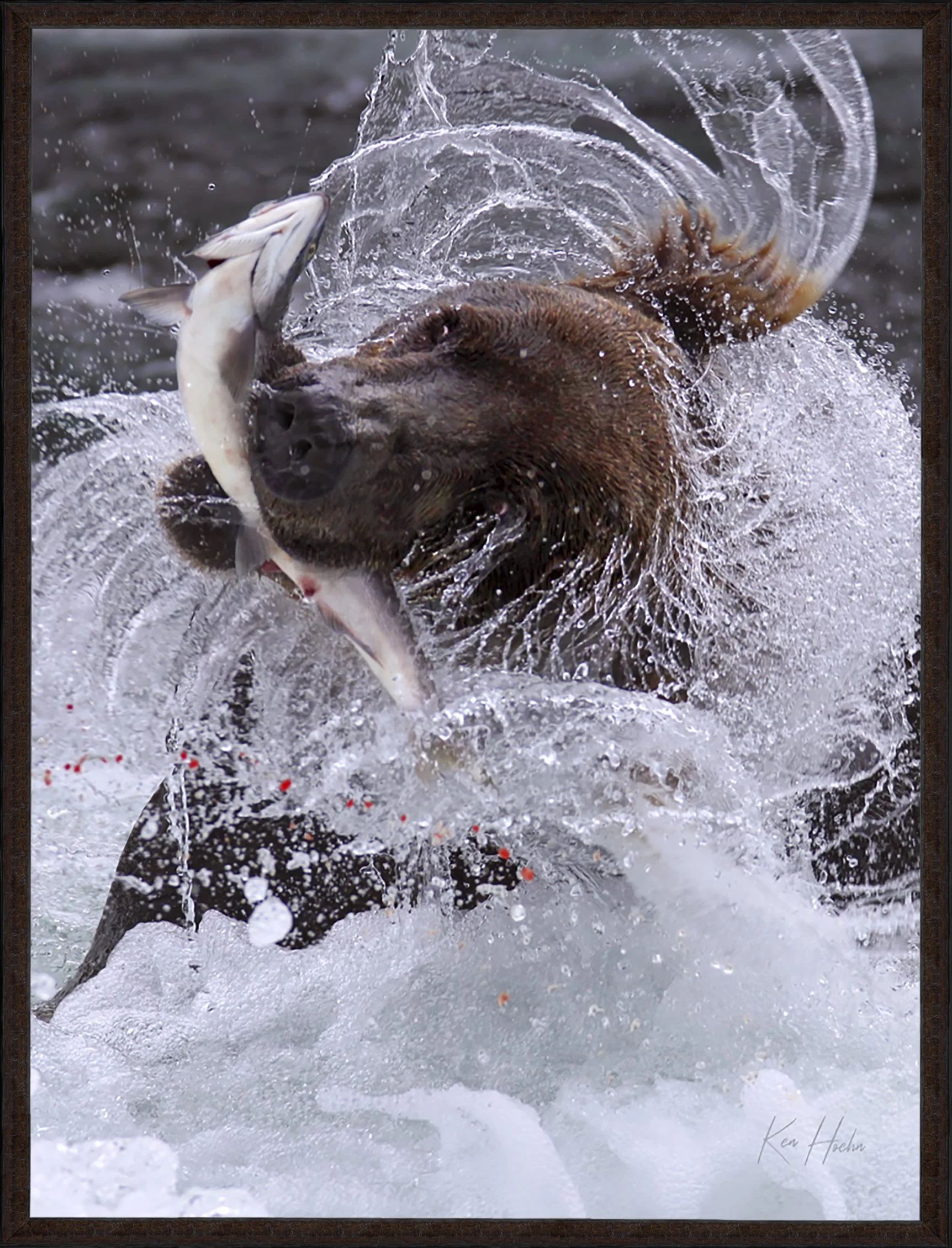 Circle of Life Baby Framed 87.jpg