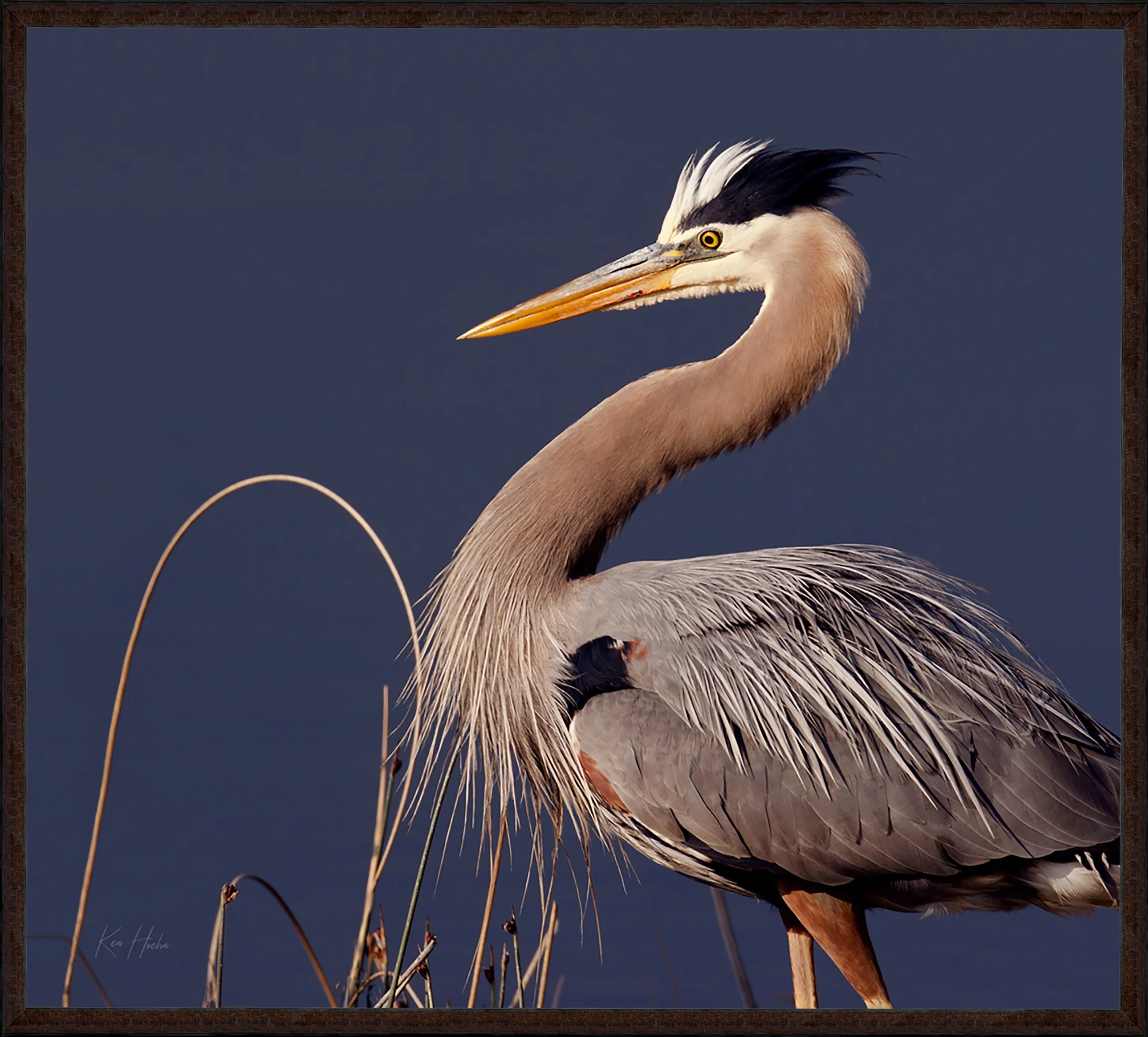 A Blue on Blue Framed 87.jpg