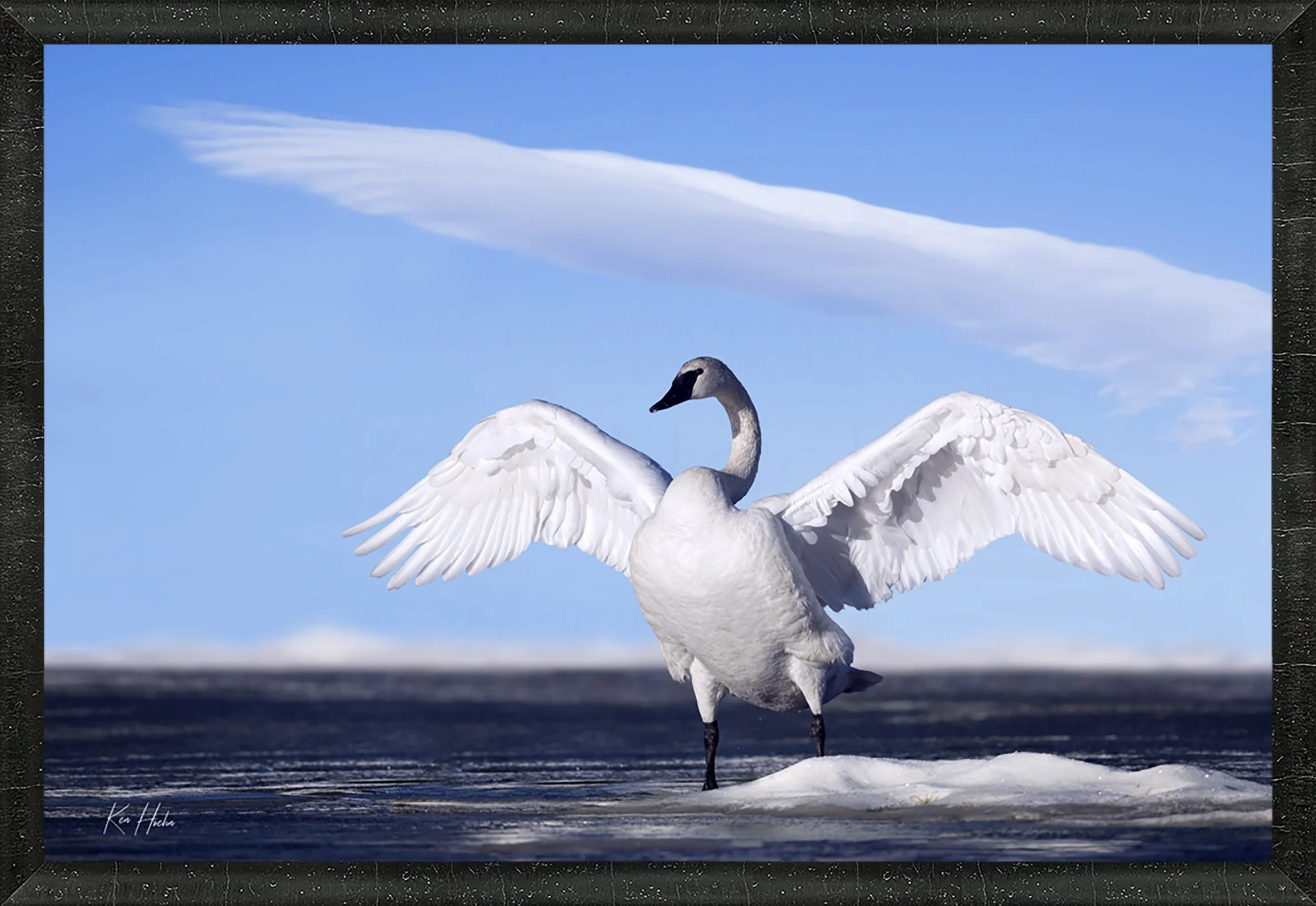 A Sign Above Framed 45.jpg