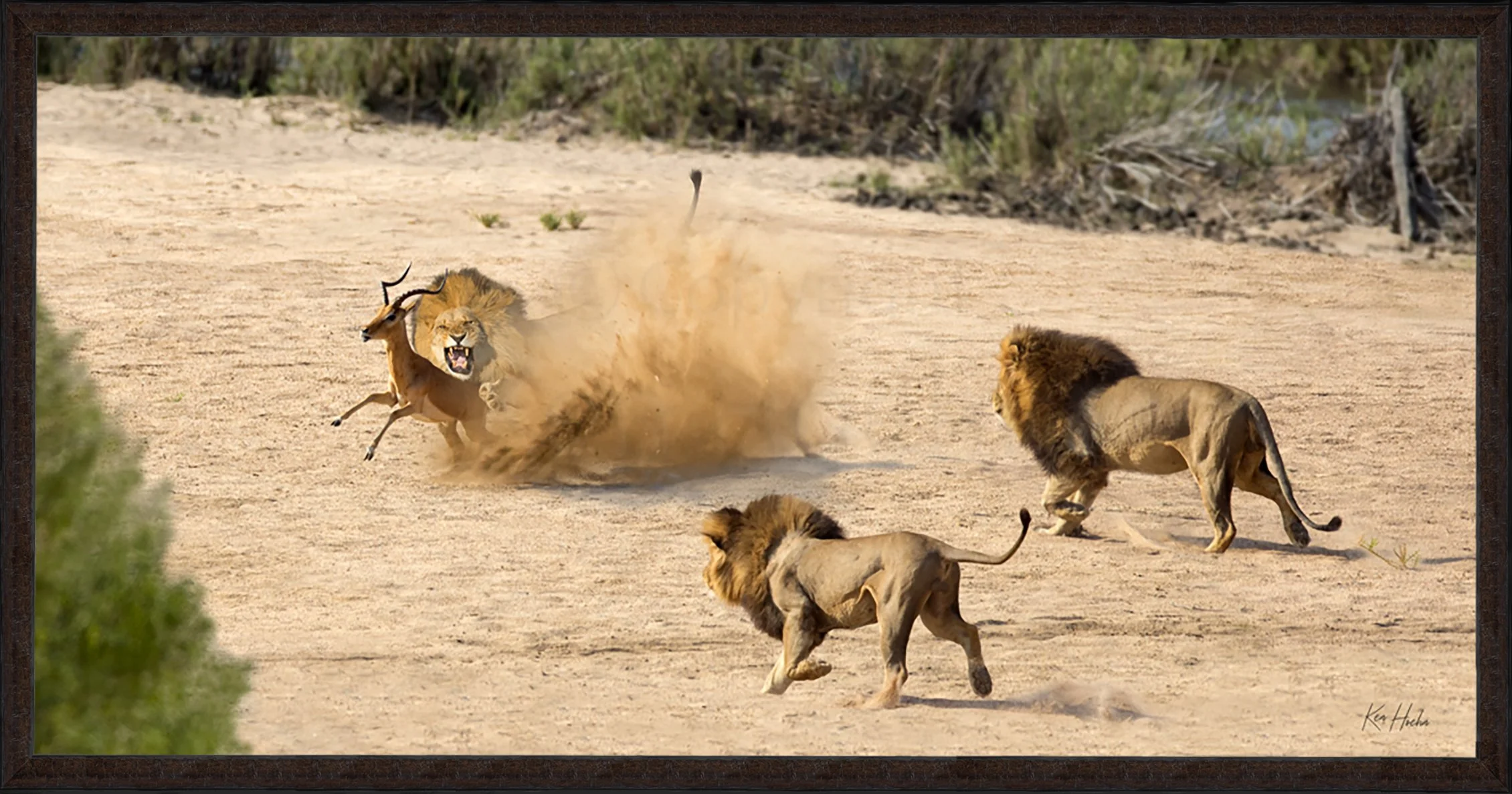 Dont Celebrate in Sand Framed 87.jpg