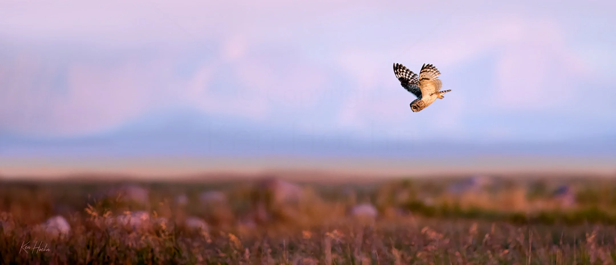 Incoming Unframed.jpg