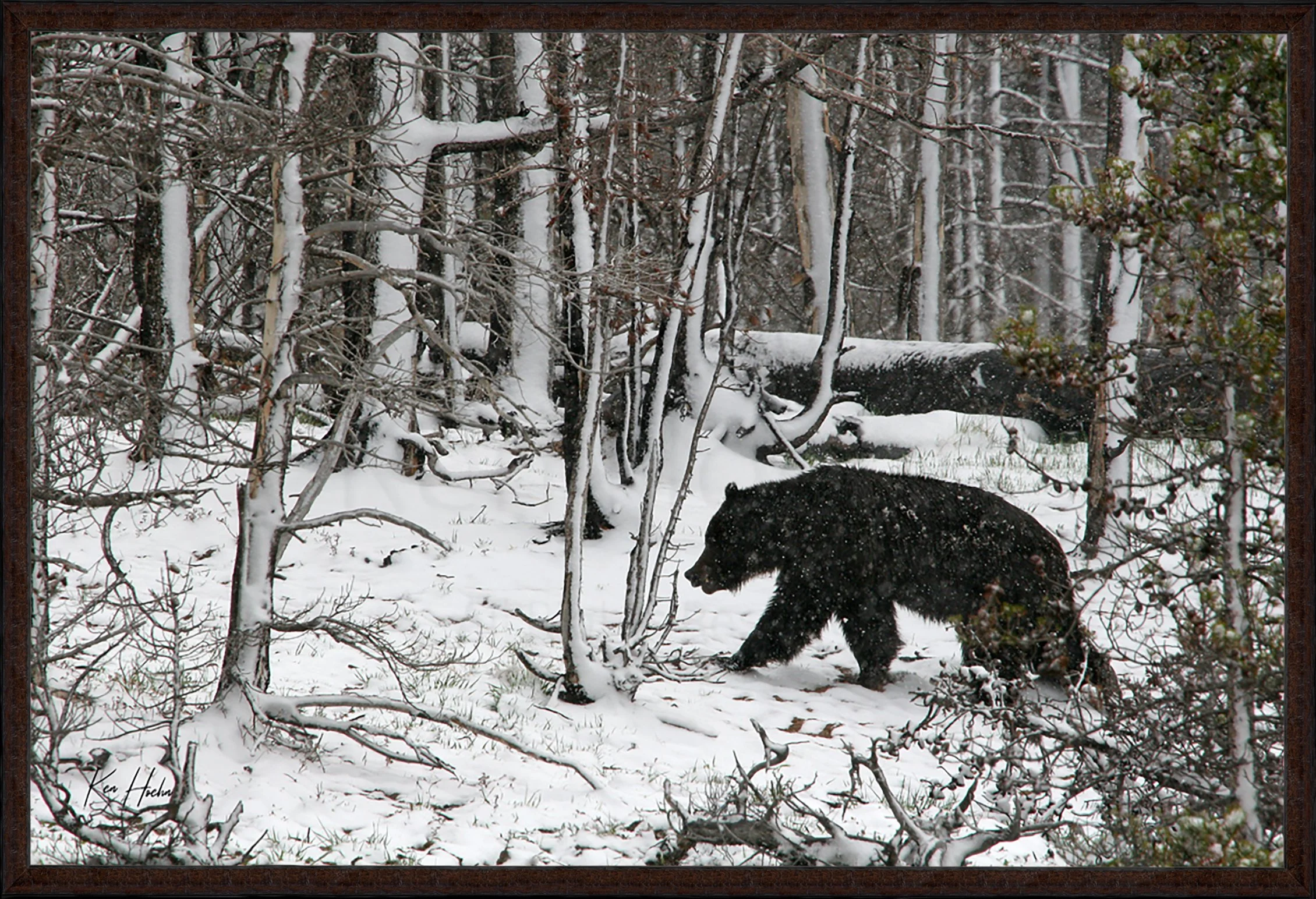 A Wanderer in the High Country Frame 87.jpg