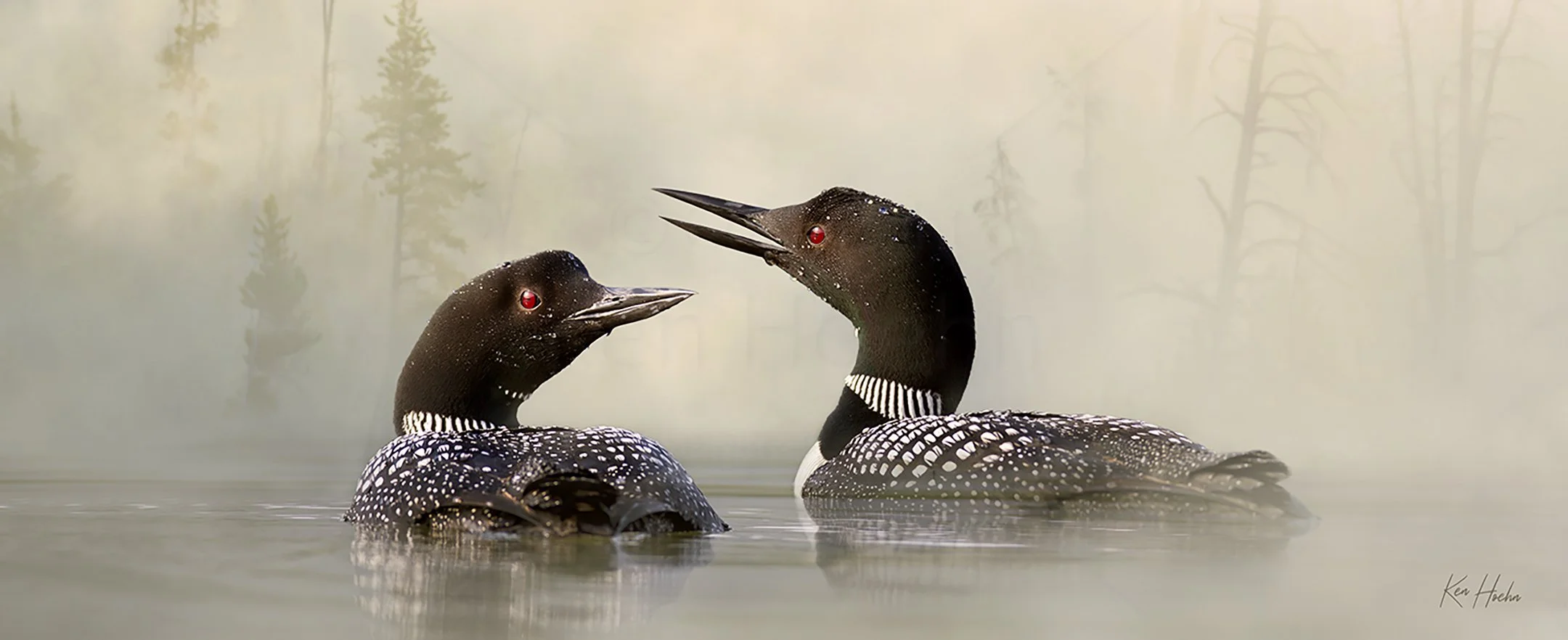 Spirit Voices Unframed.jpg