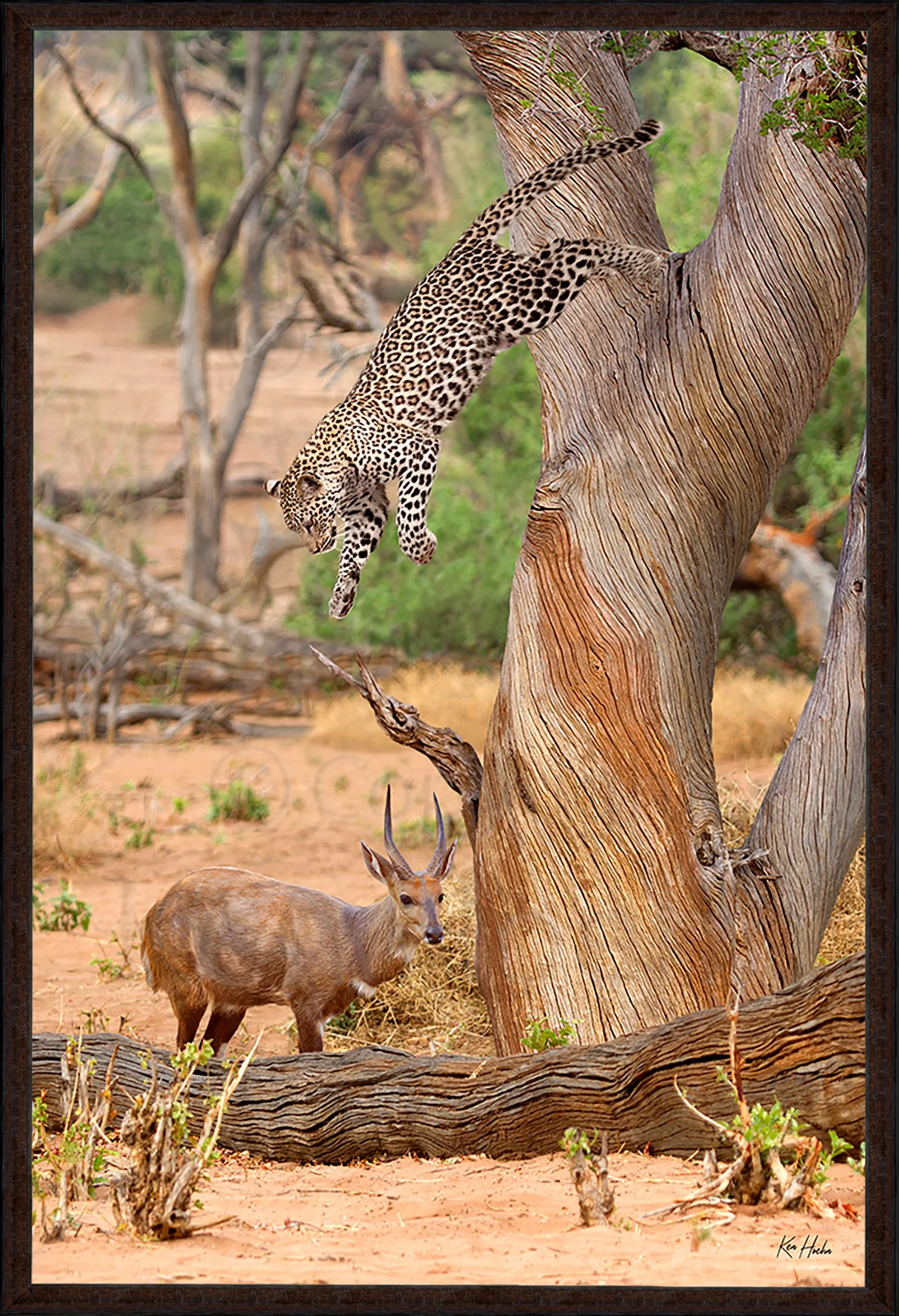 Sudden and Silent Framed 87.jpg