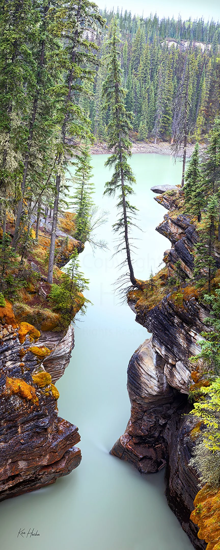 The Gatekeeper Unframed.jpg