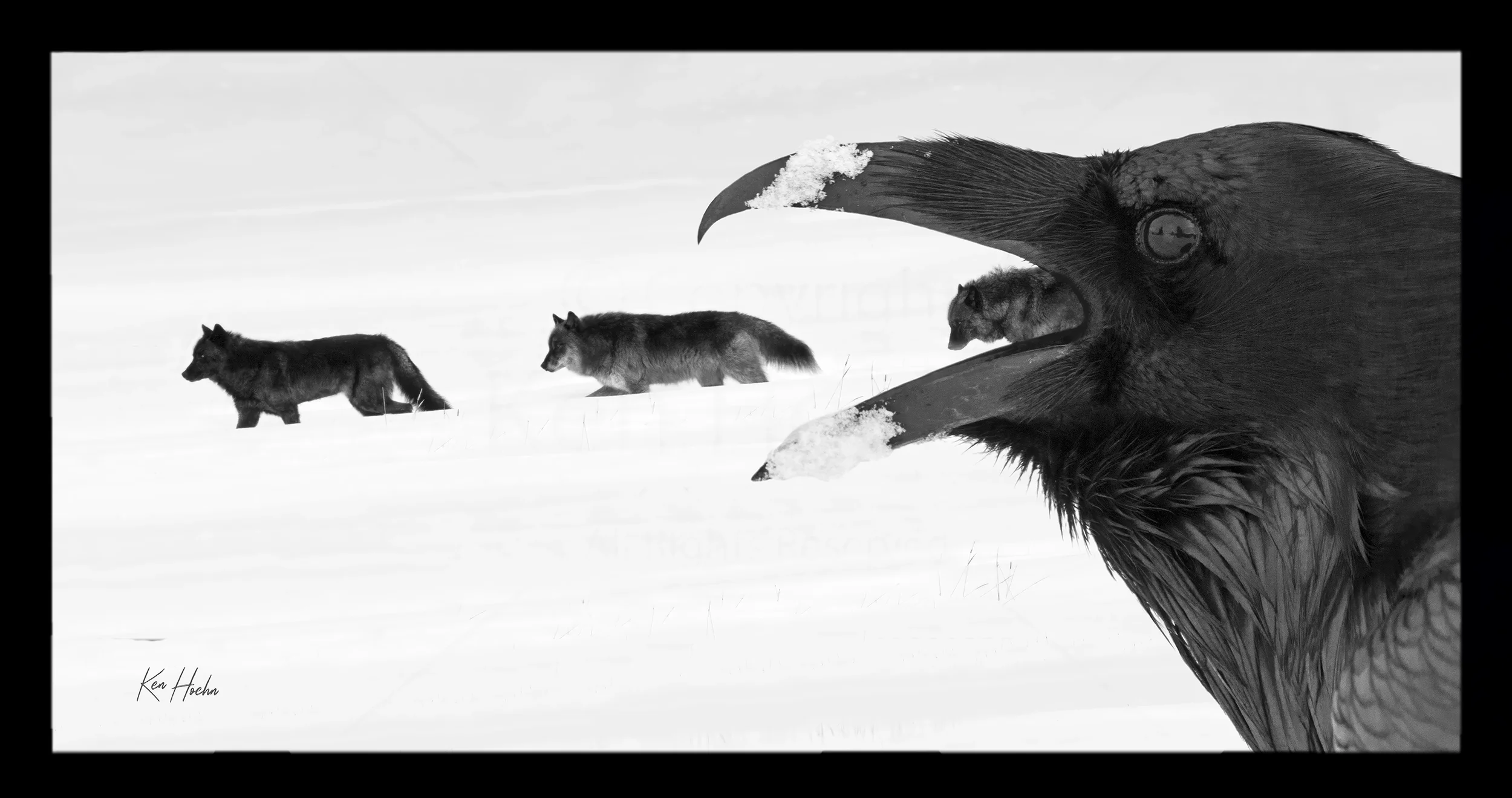 speak truth to power fr01 watermarked.webp