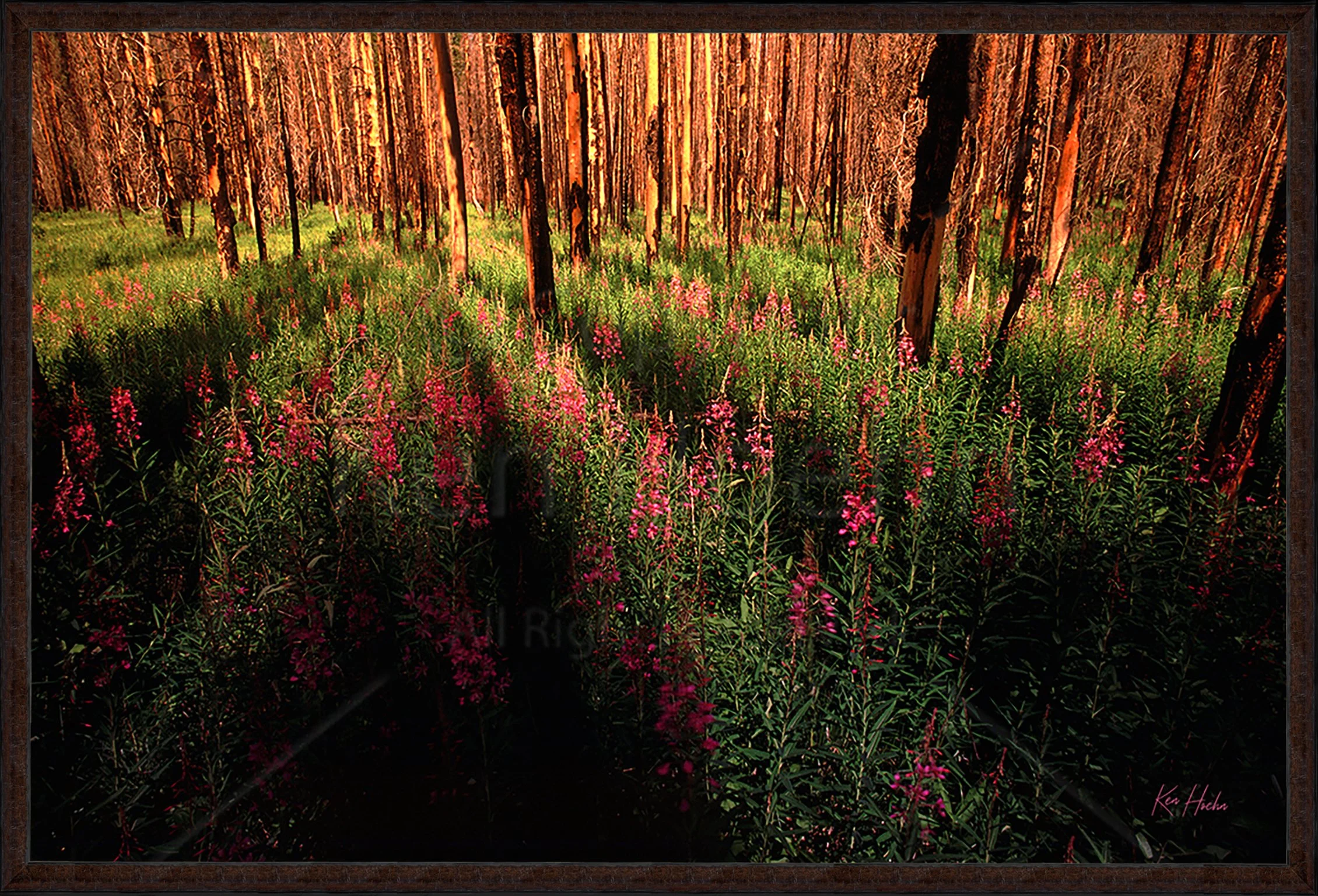 Renaissance Framed 87.jpg