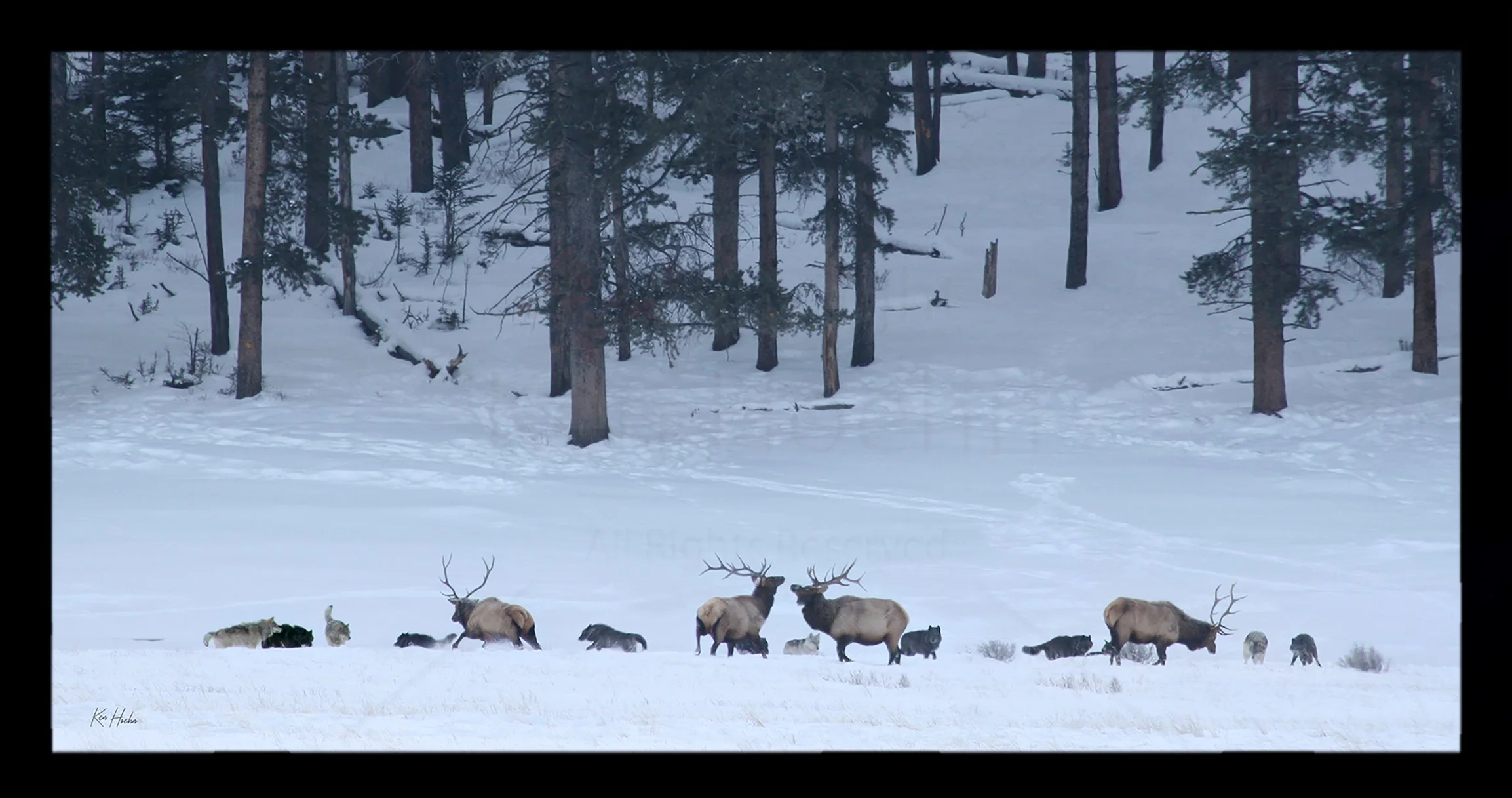 wilderness ballad Framed 01.jpg