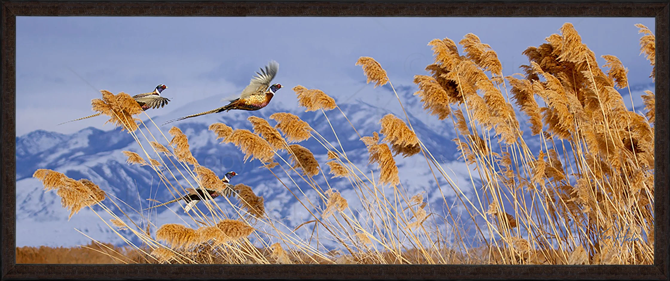 Burst in Winter Beauty Framed 87.jpg