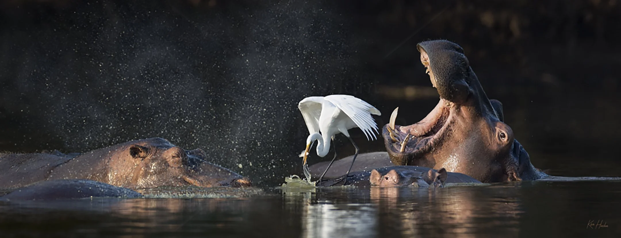 Its a Living Unframed.jpg