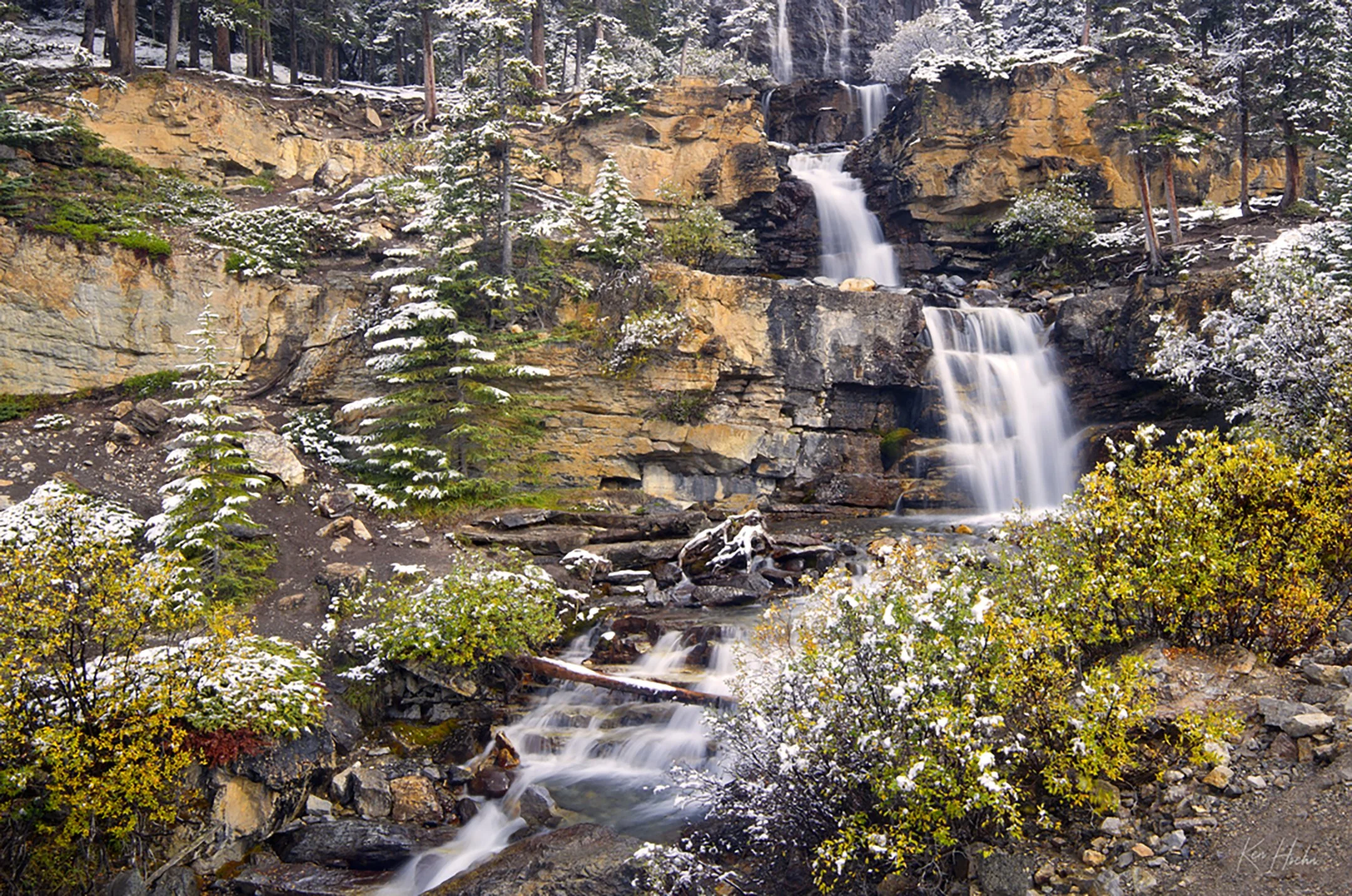 Tangle Falls Unframed.jpg