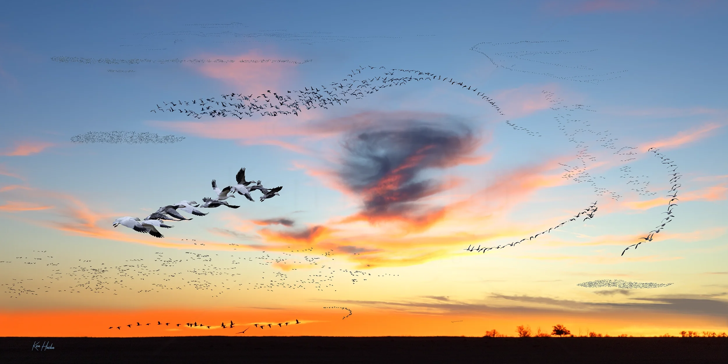 the big wheel watermarked.webp