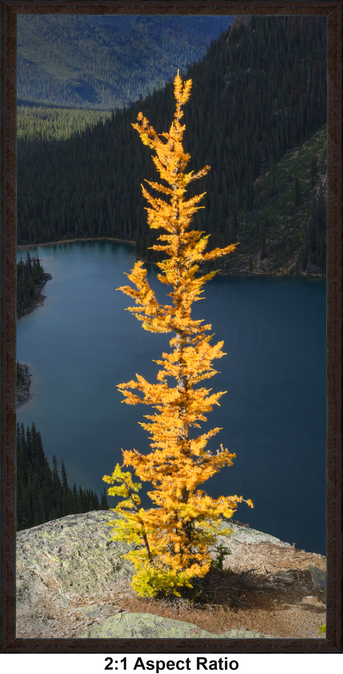 Framed Hope 2 to 1 with Aspect.png